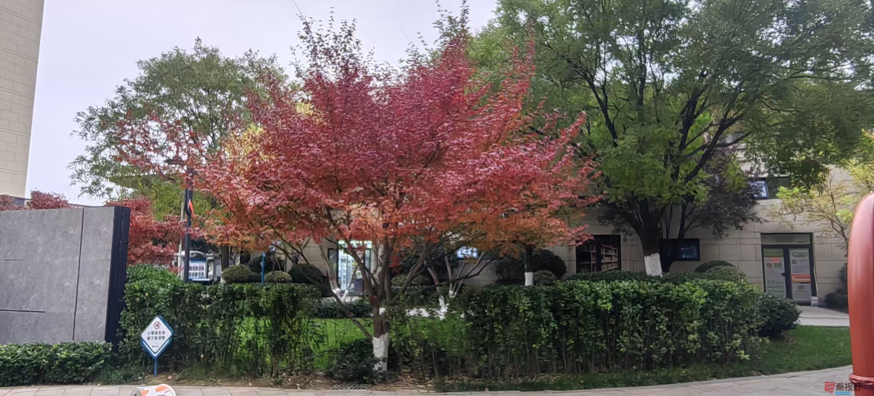 绿海雪塬_20251105214231_2769_463 (7).jpg