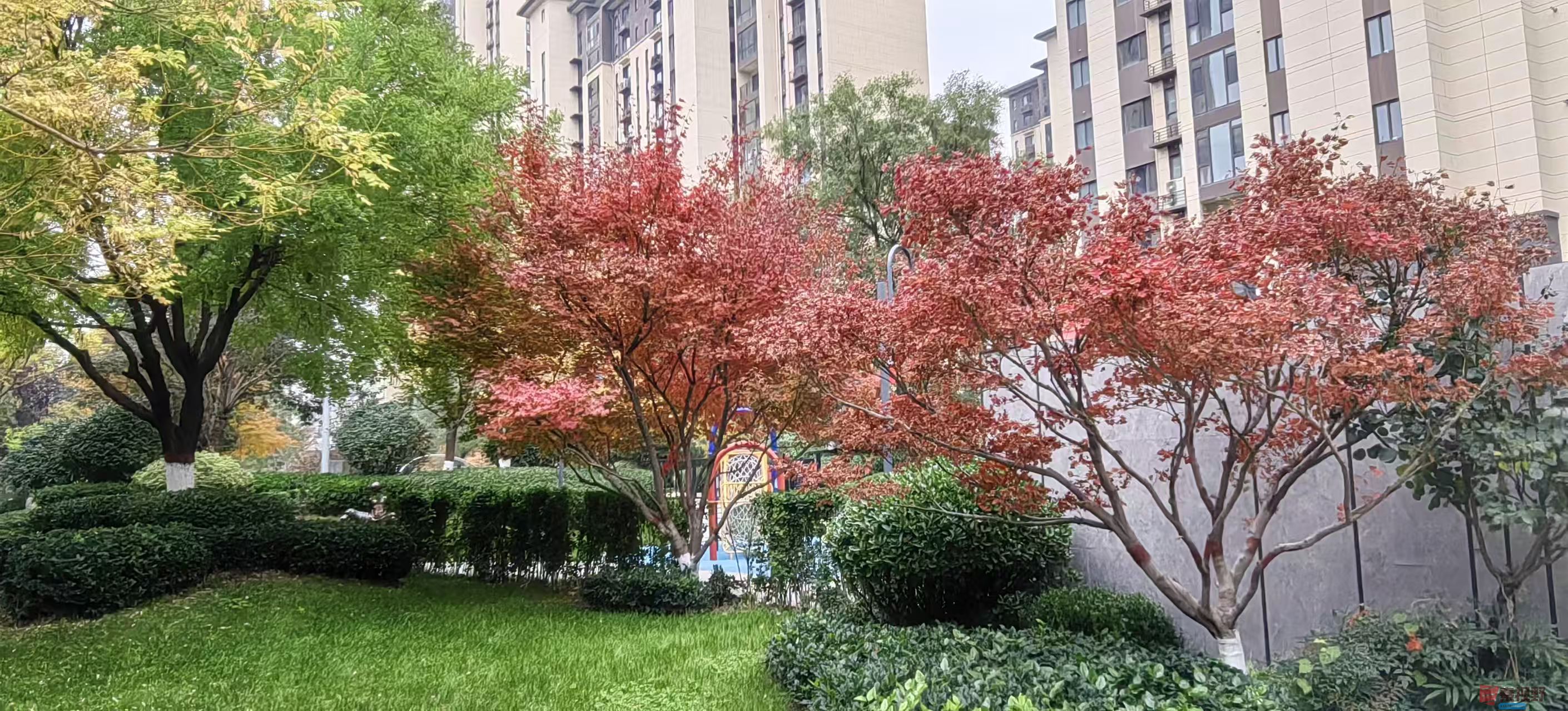 渭北高原最具幸福感的城市---铜川【摄影绿海雪塬】