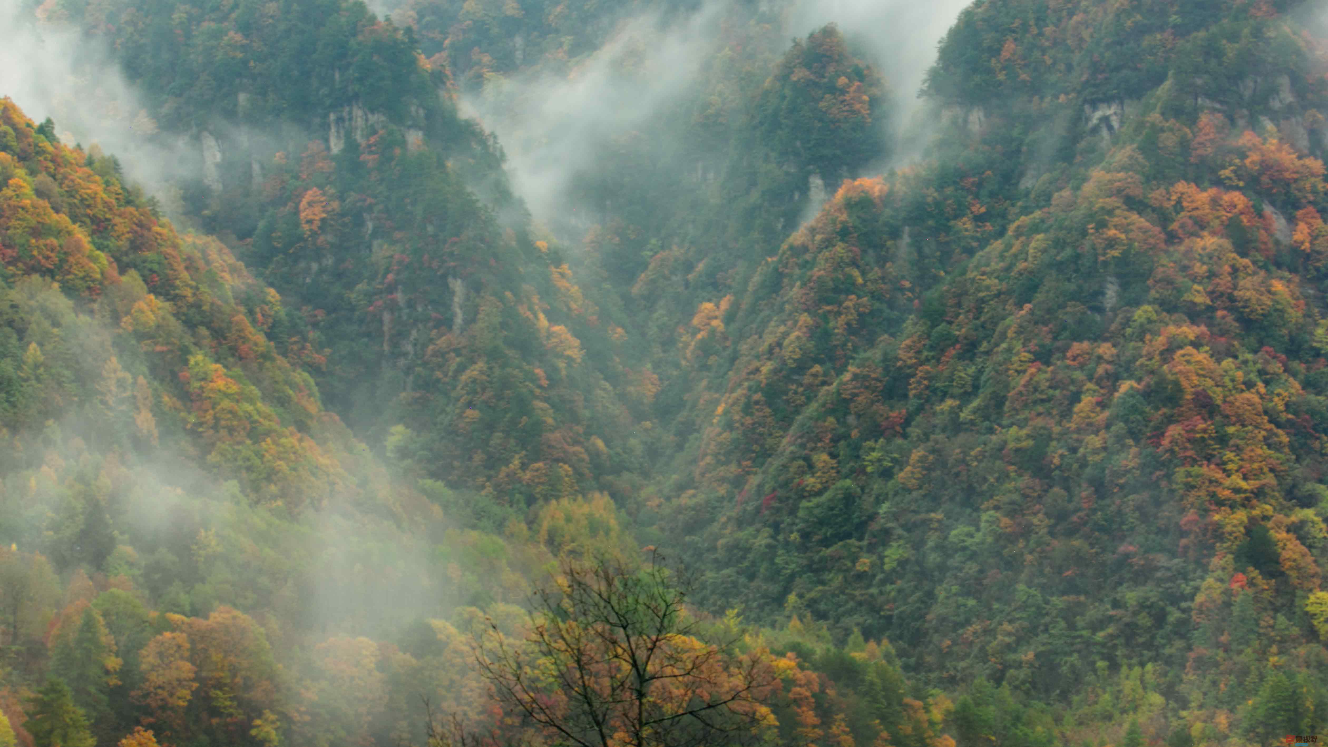 刘胜军_20251106231549_17_634 (1).jpg