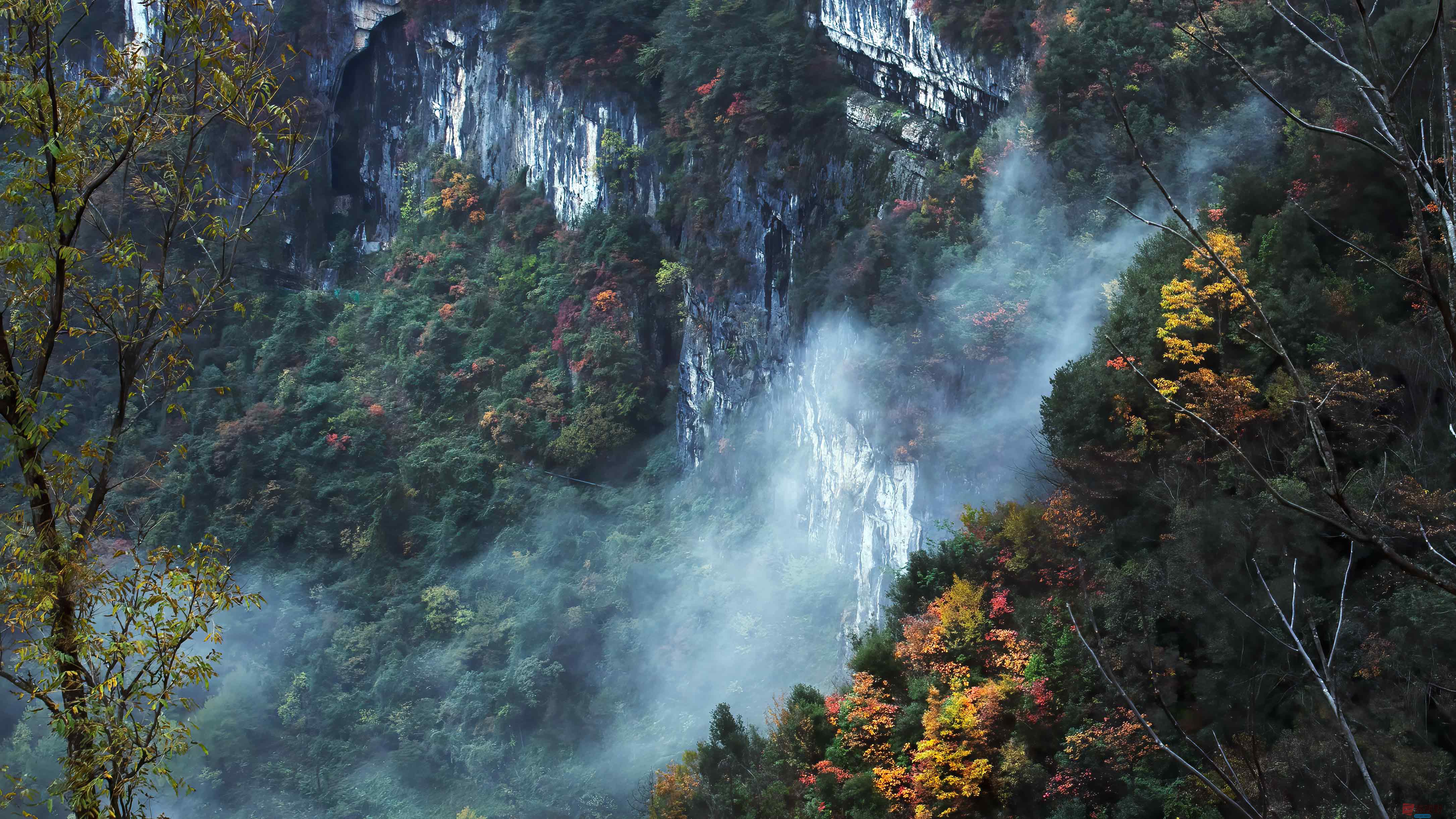 刘胜军_20251106231549_17_634 (2).jpg