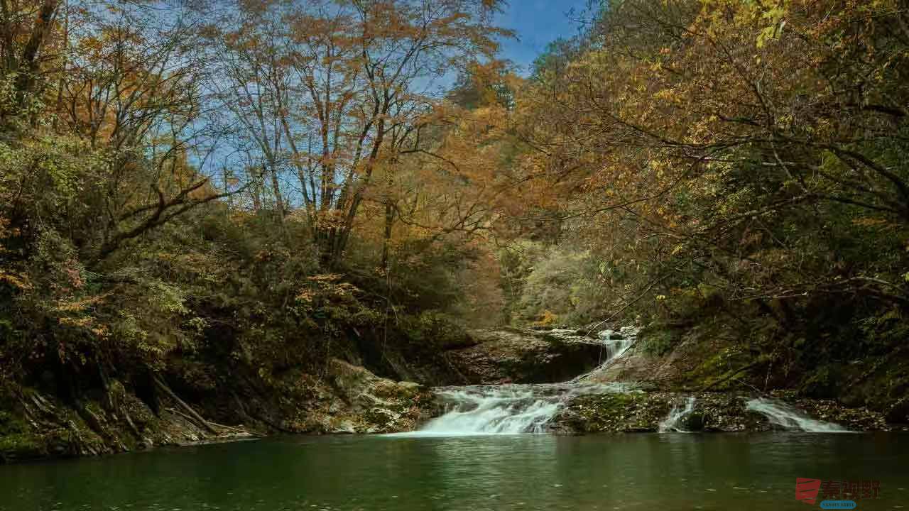 刘胜军_20251106231549_17_634 (5).jpg