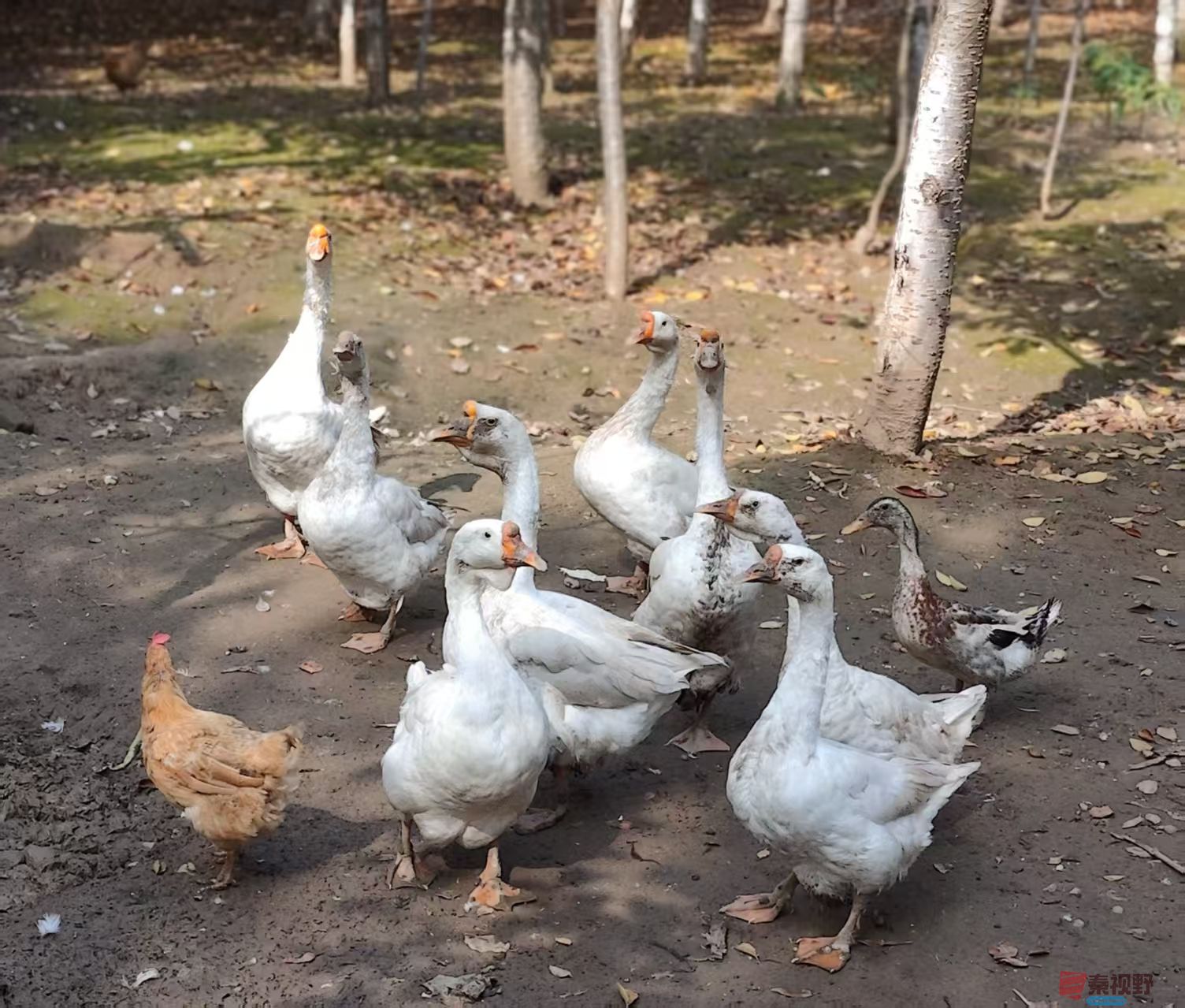 王顺利_20251105225250_2784_463 (7).jpg