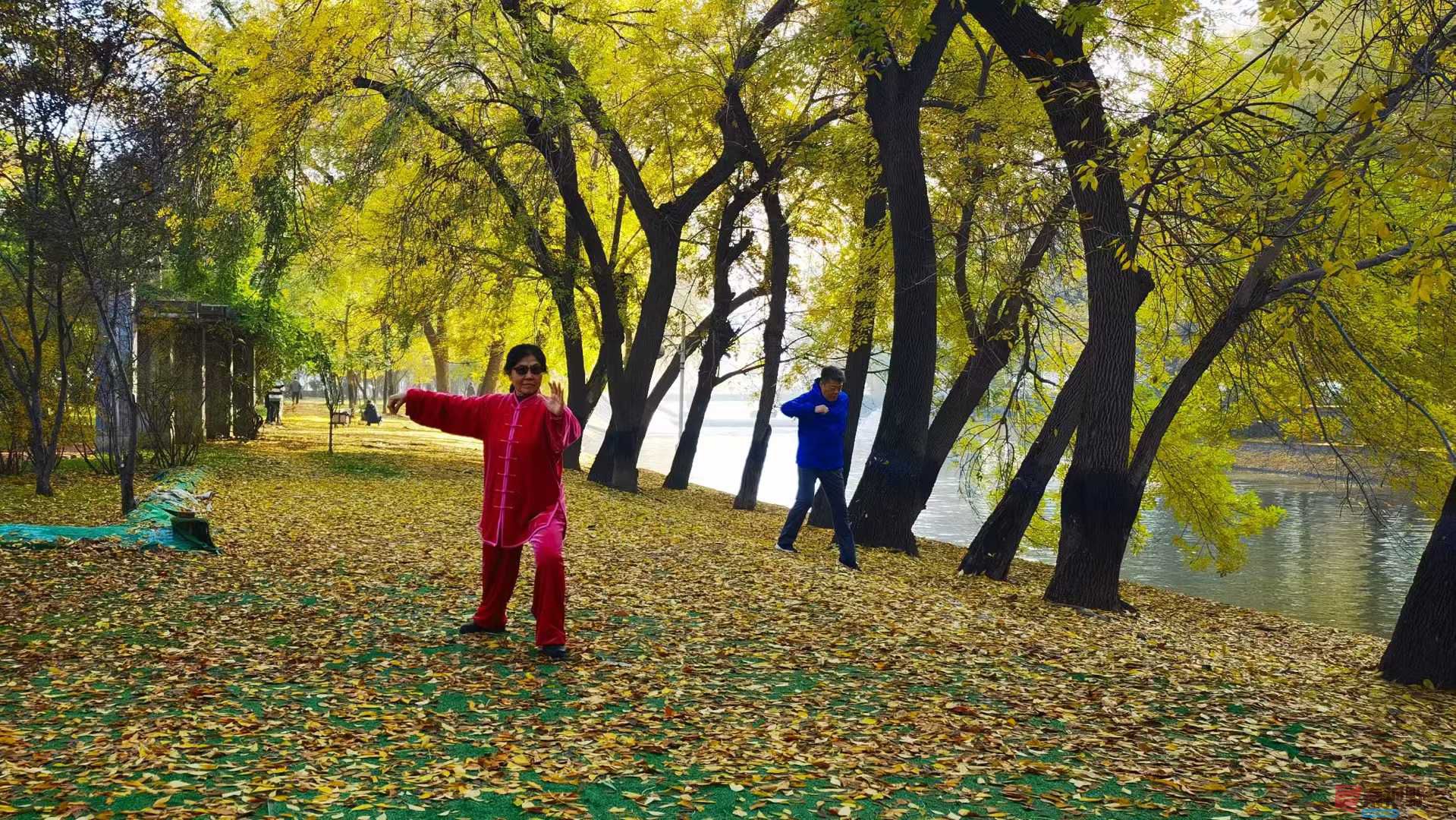 马世国_2025-11-06_172407_487 (4).jpg