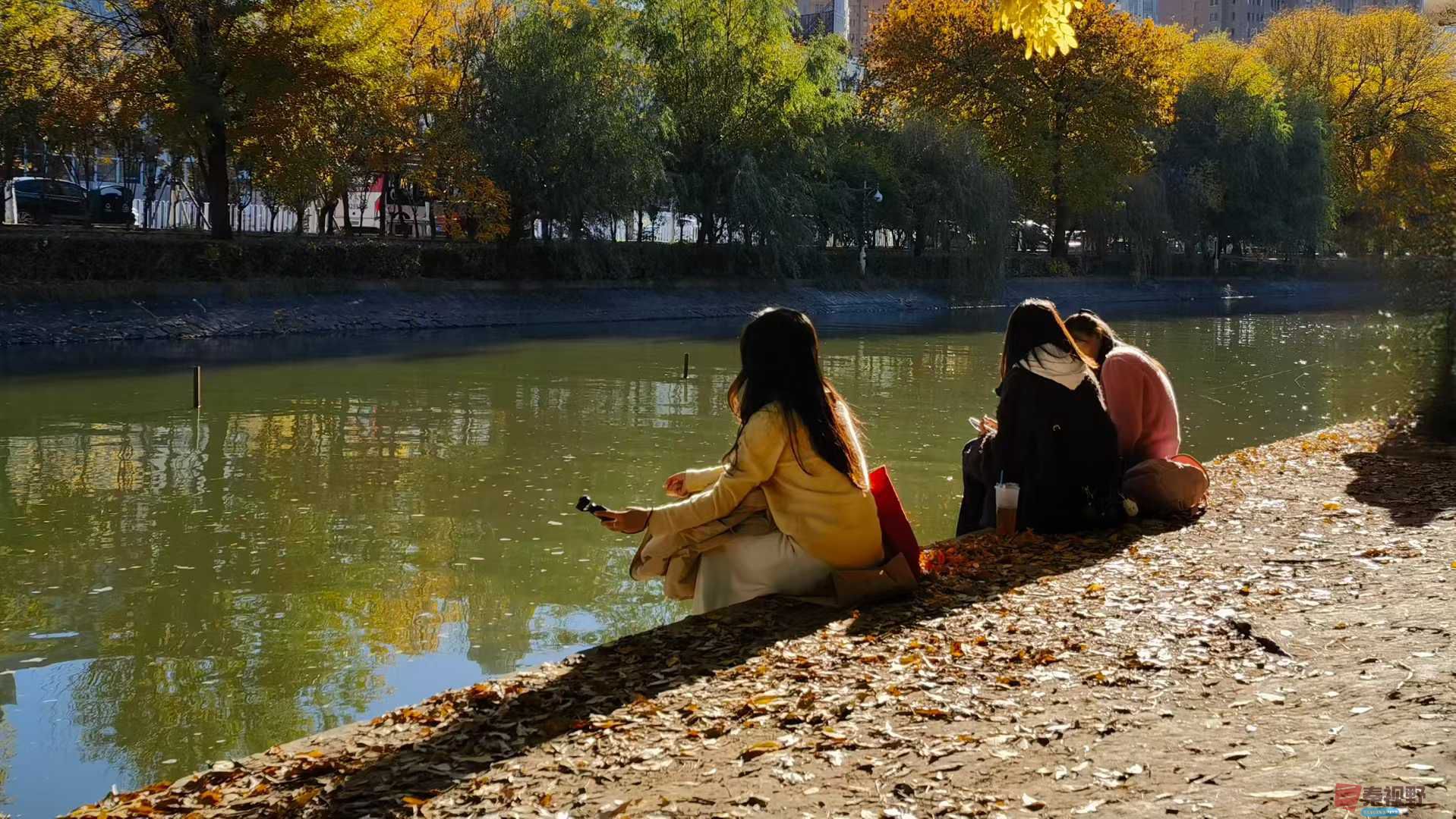 马世国_2025-11-06_172407_487 (5).jpg