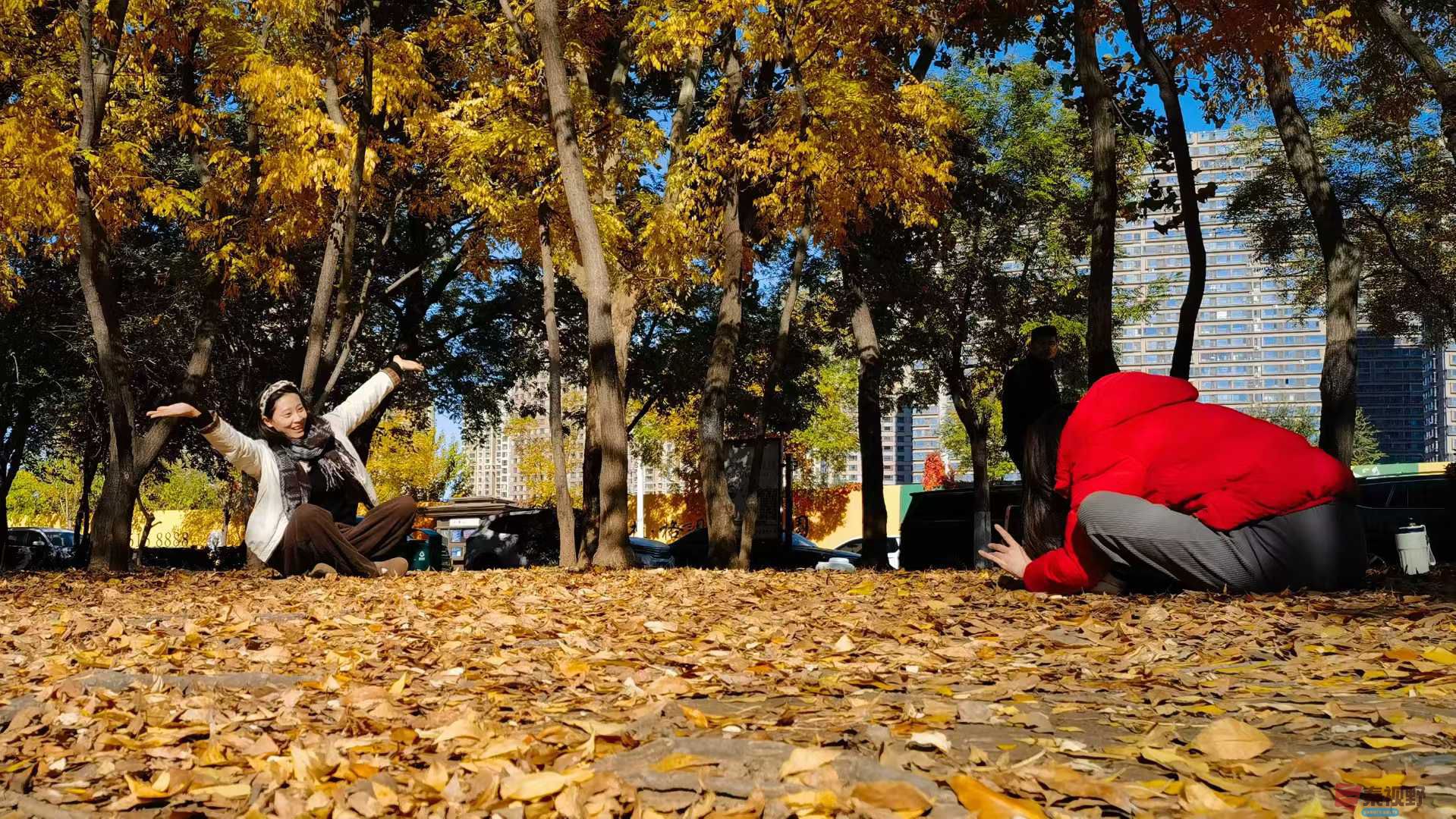 马世国_2025-11-06_172407_487 (9).jpg