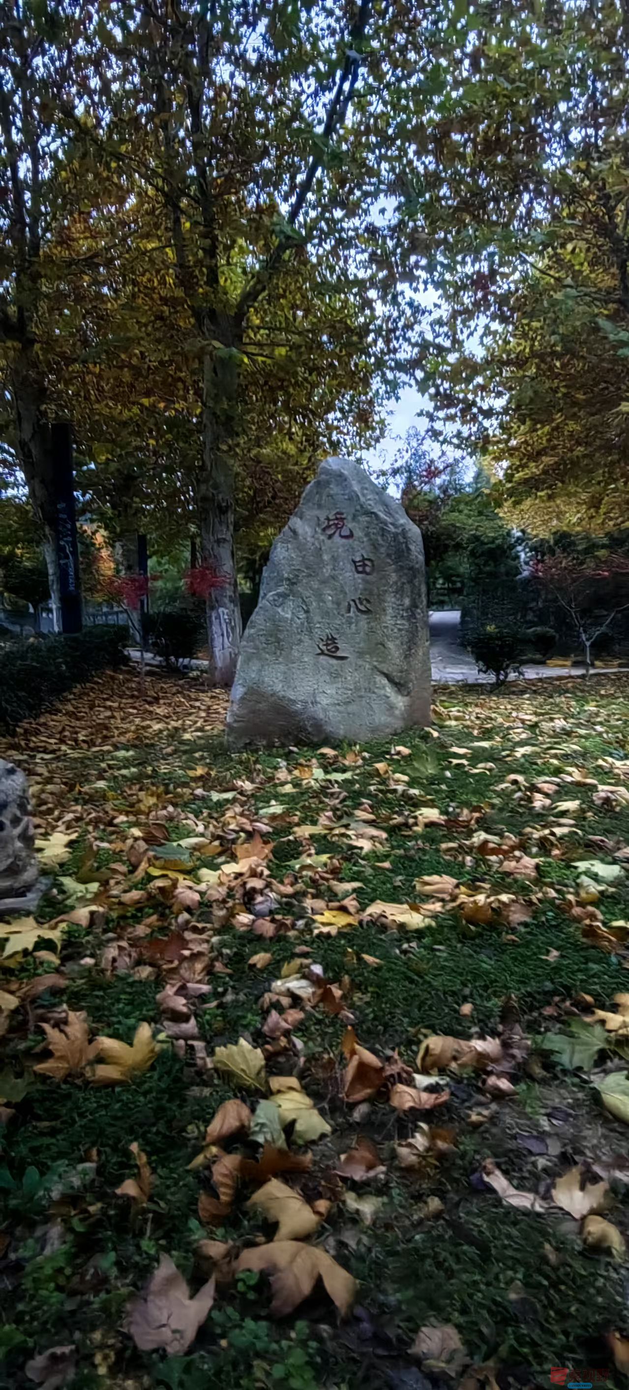 绿海雪塬_20251107105711_2885_463 (14).jpg