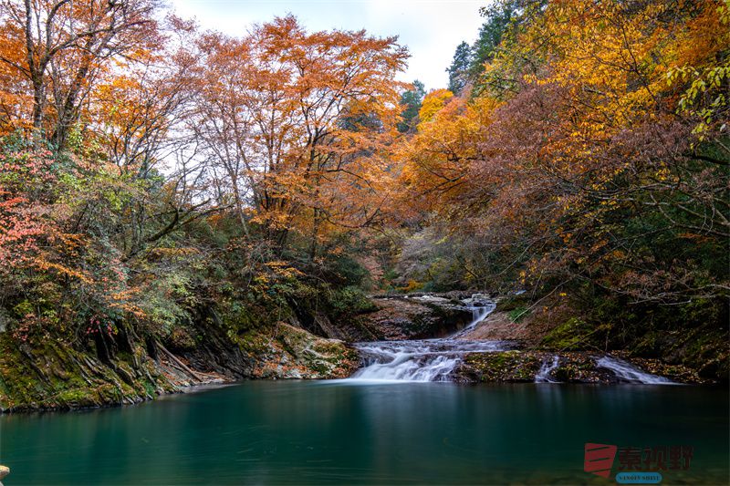 <strong>醉美陕西宁强秋色（2）【摄影张宝光】</strong>