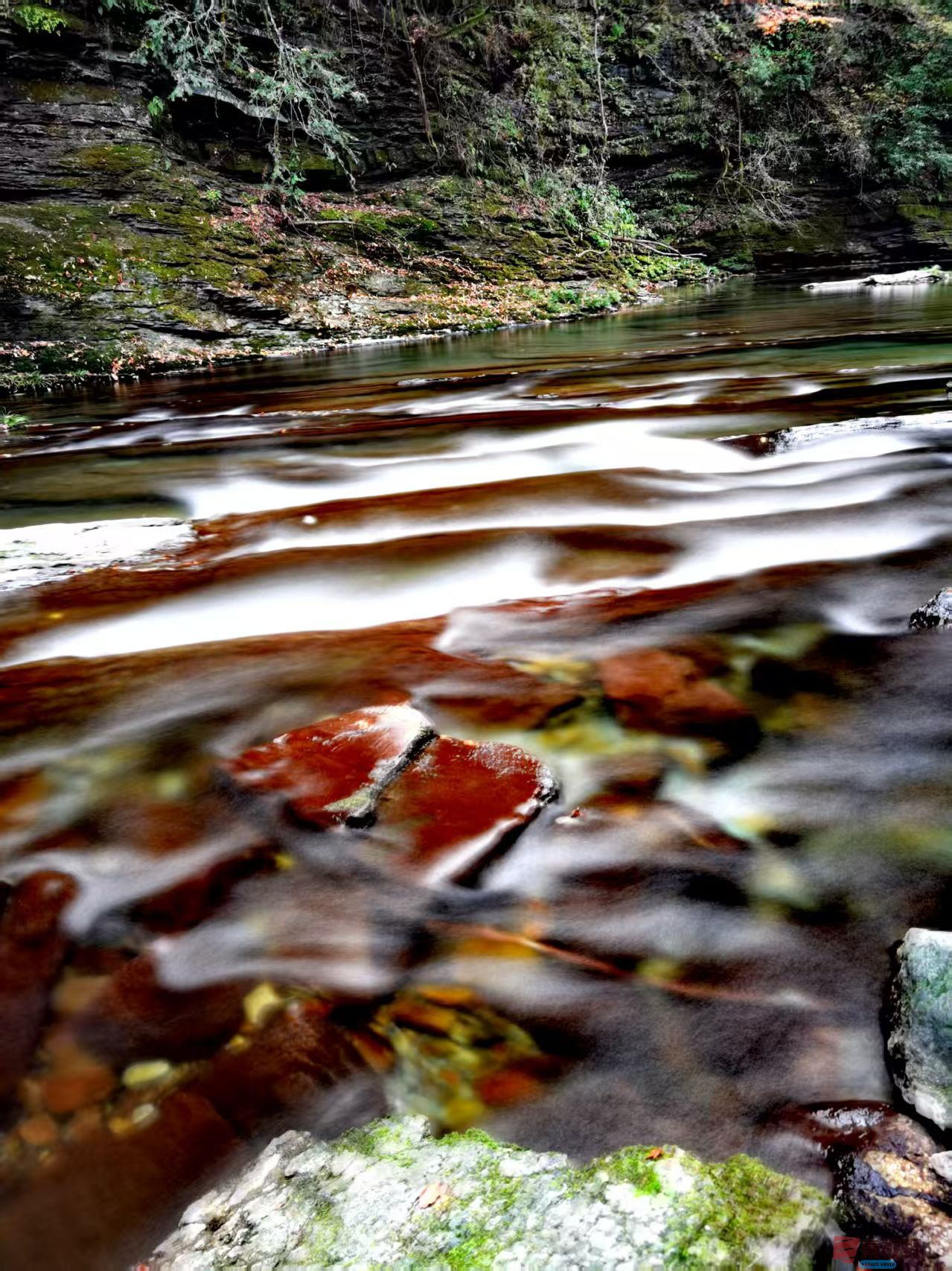 王耀林_20251107135700_2902_463 (5).jpg