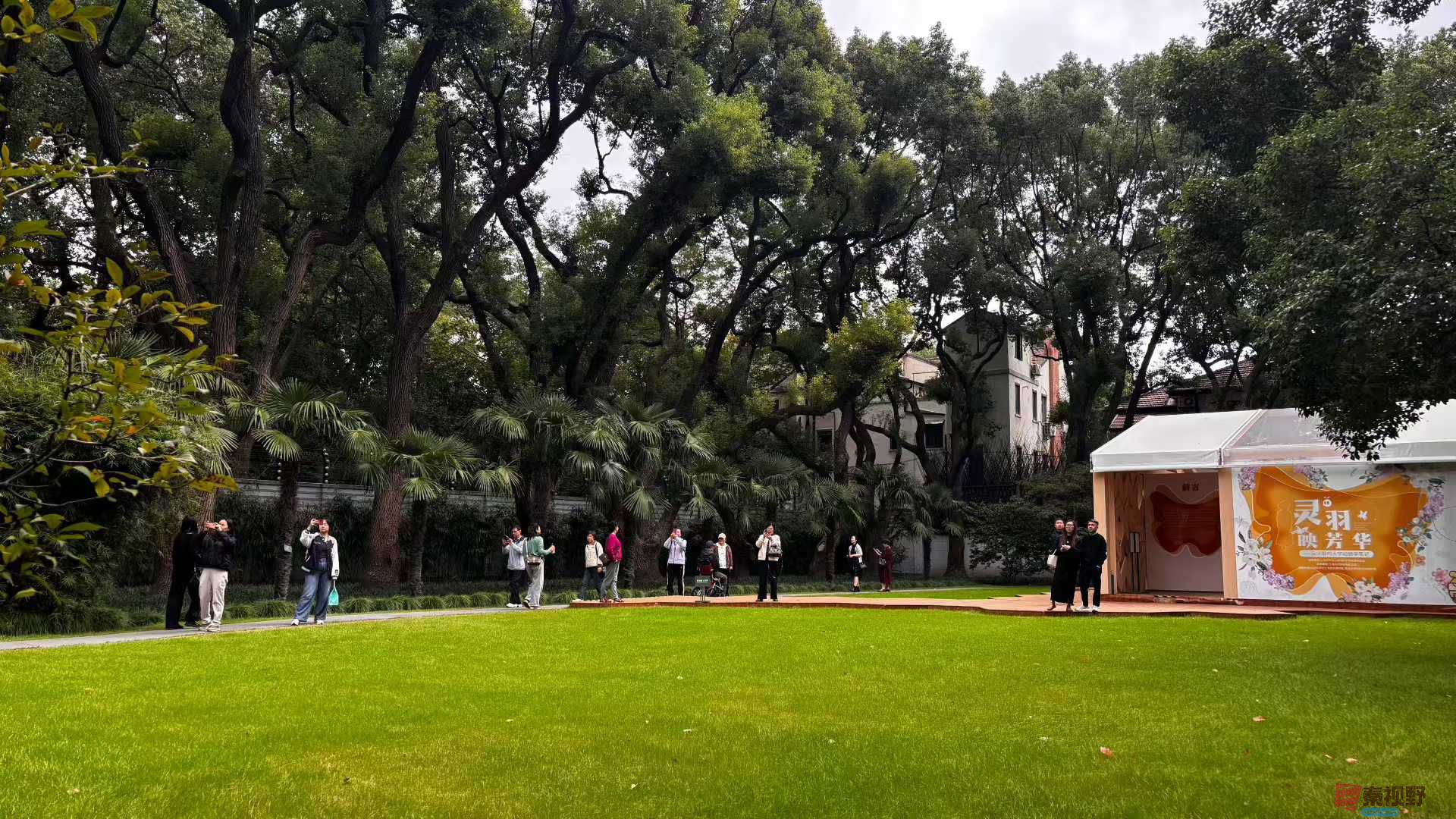 张巧玲2025-11-06_172930_579 (3).jpg