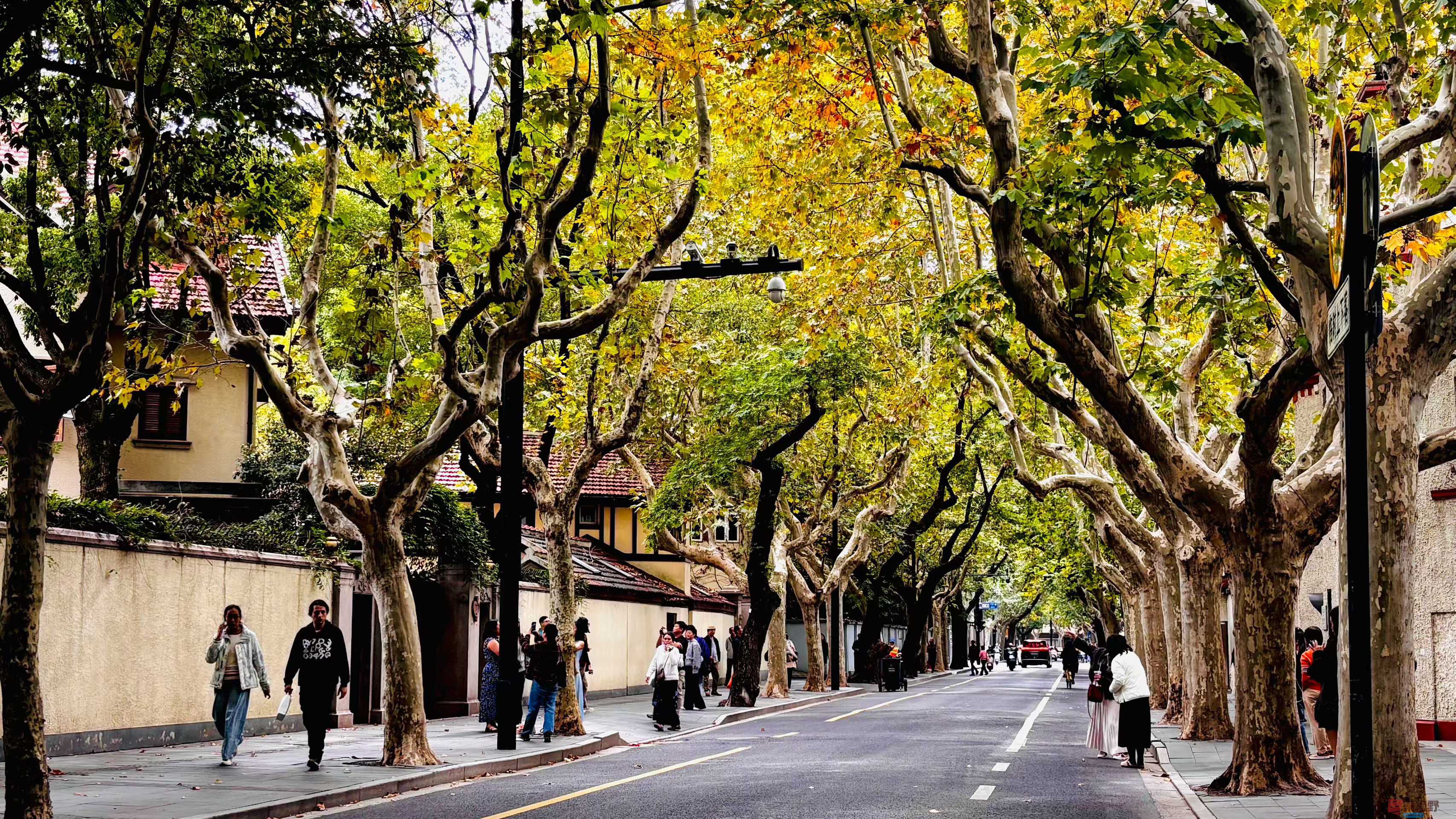 张巧玲2025-11-06_172930_579 (8).jpg