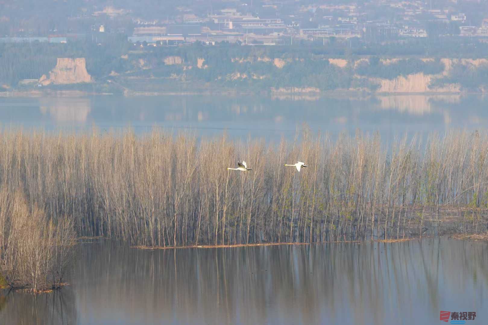 袁小保_2025-11-06_173031_695 (3).jpg