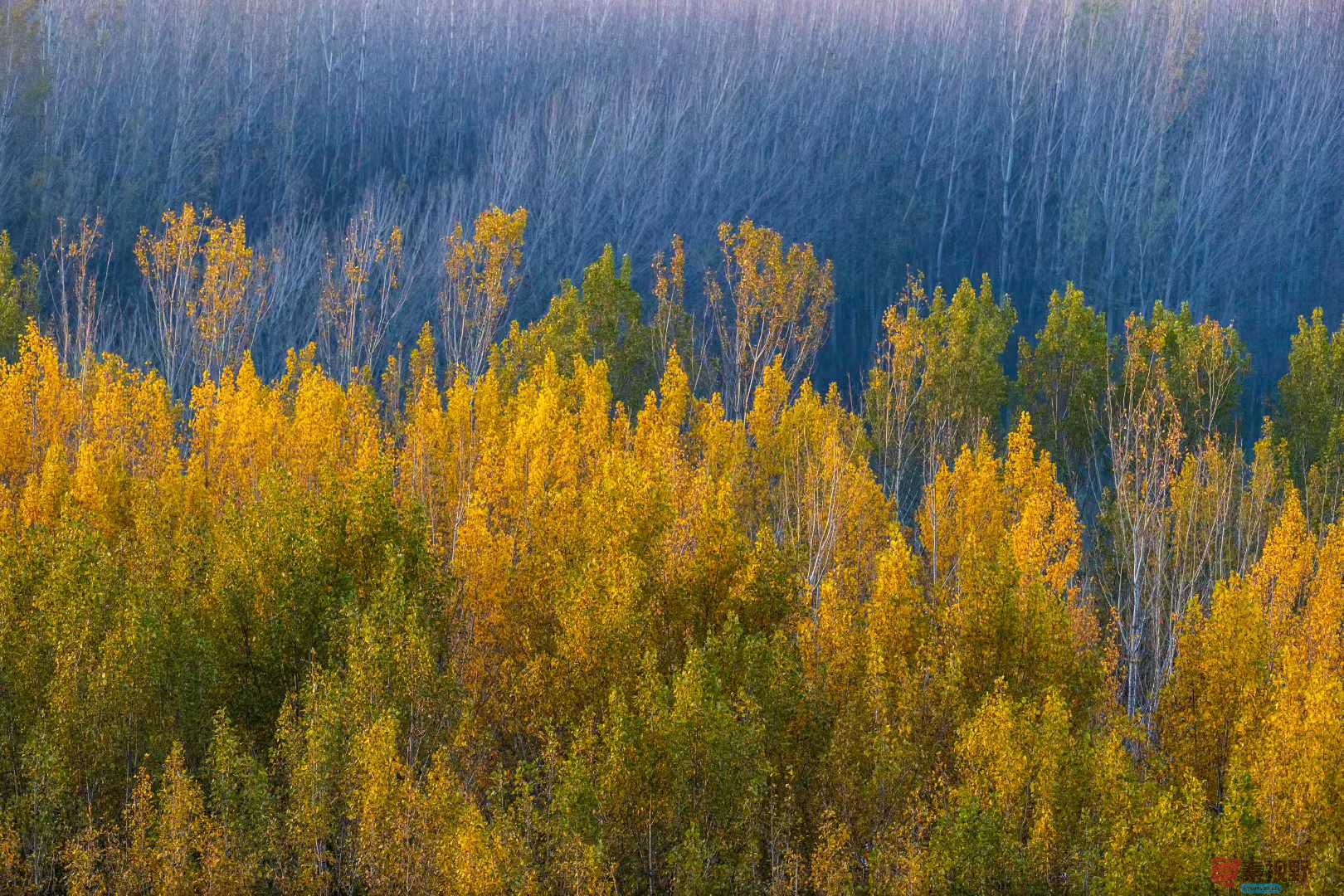 袁小保_2025-11-06_173031_695 (9).jpg