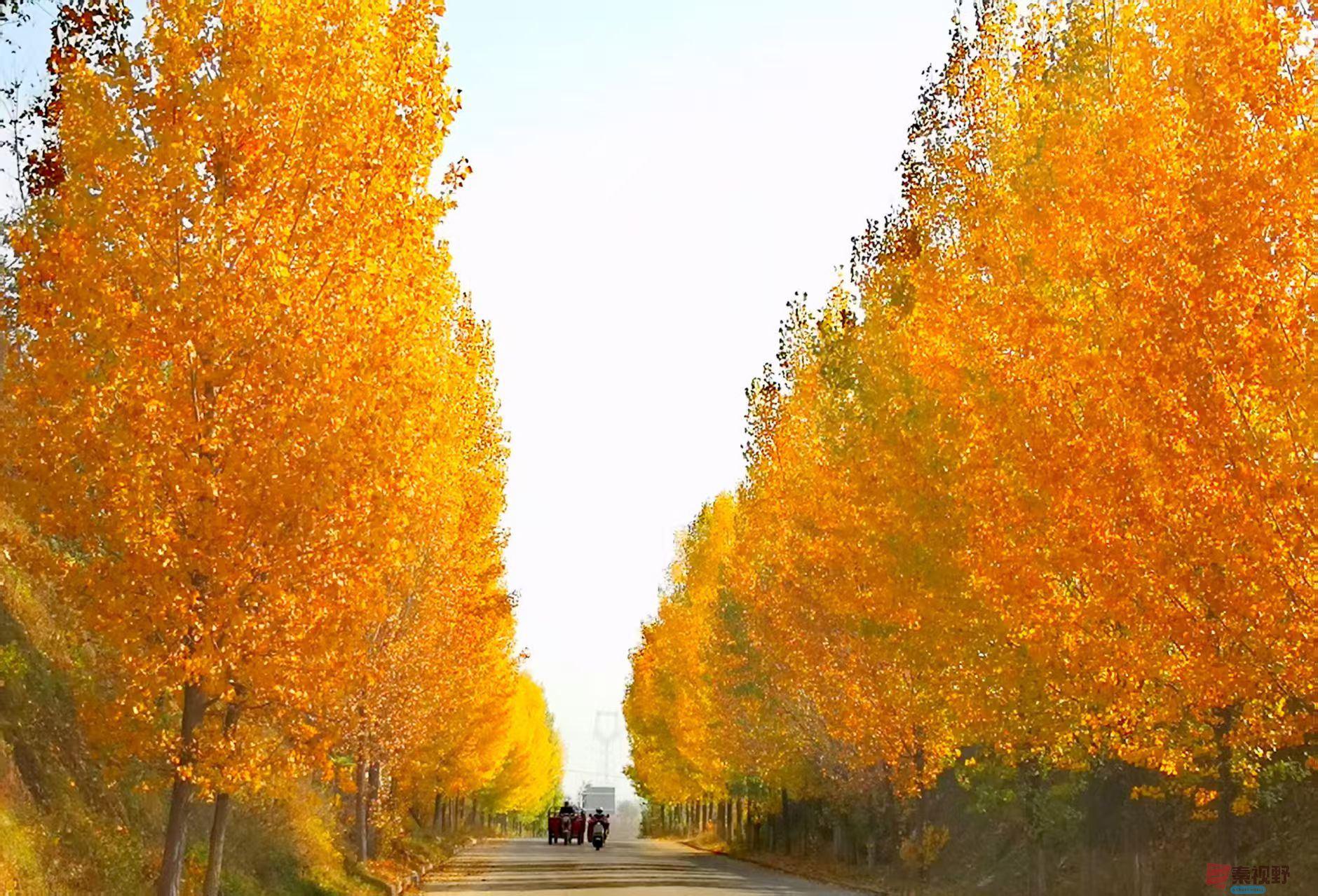 李雪平_20251104093548_500_149 (2).jpg