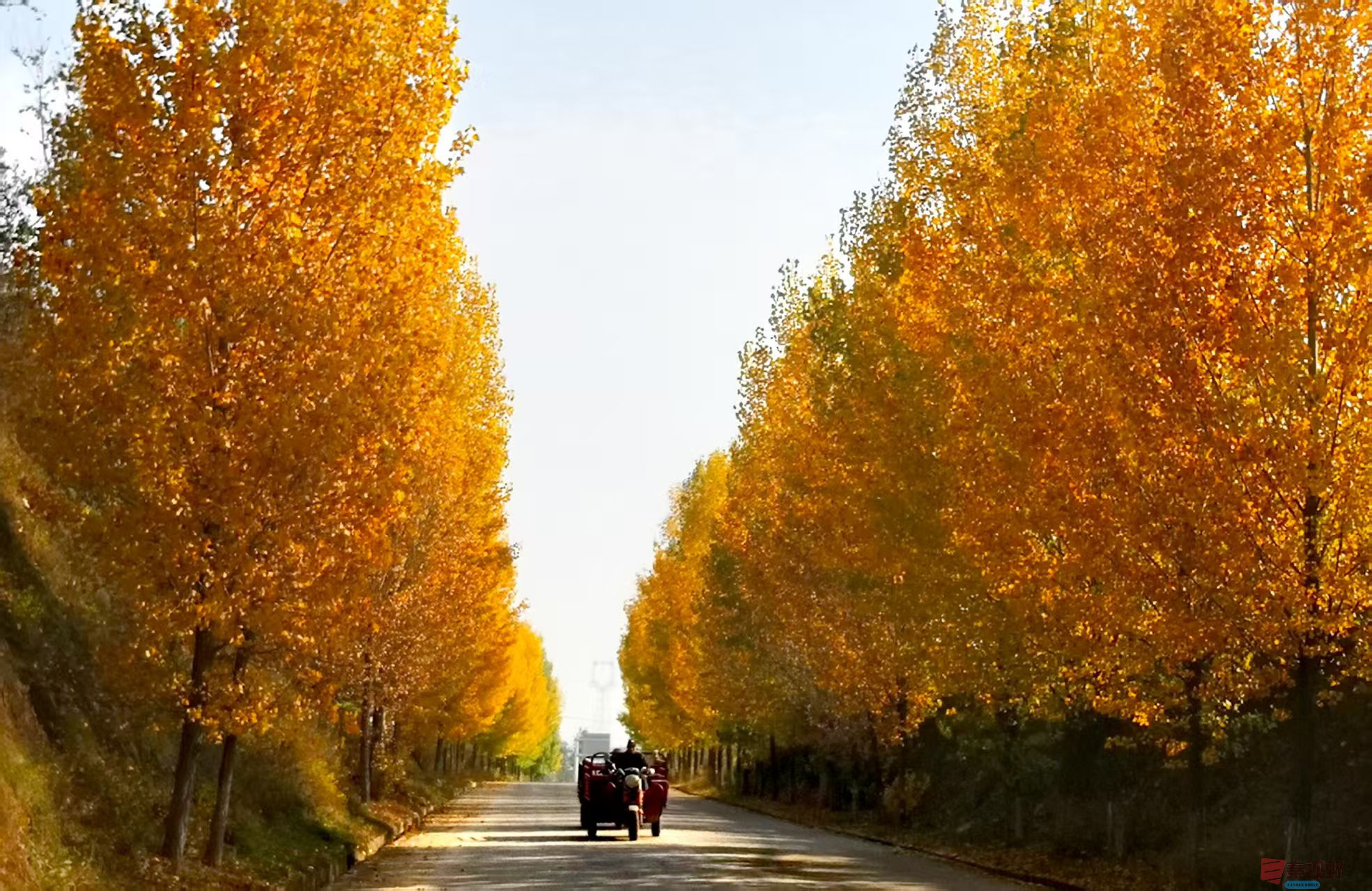 李雪平_20251104093548_500_149 (3).jpg