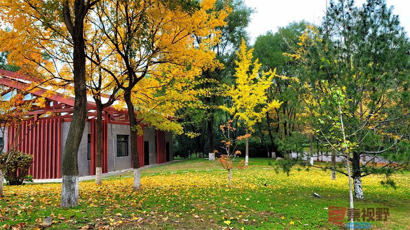 秋天的色彩【摄影寇群利】