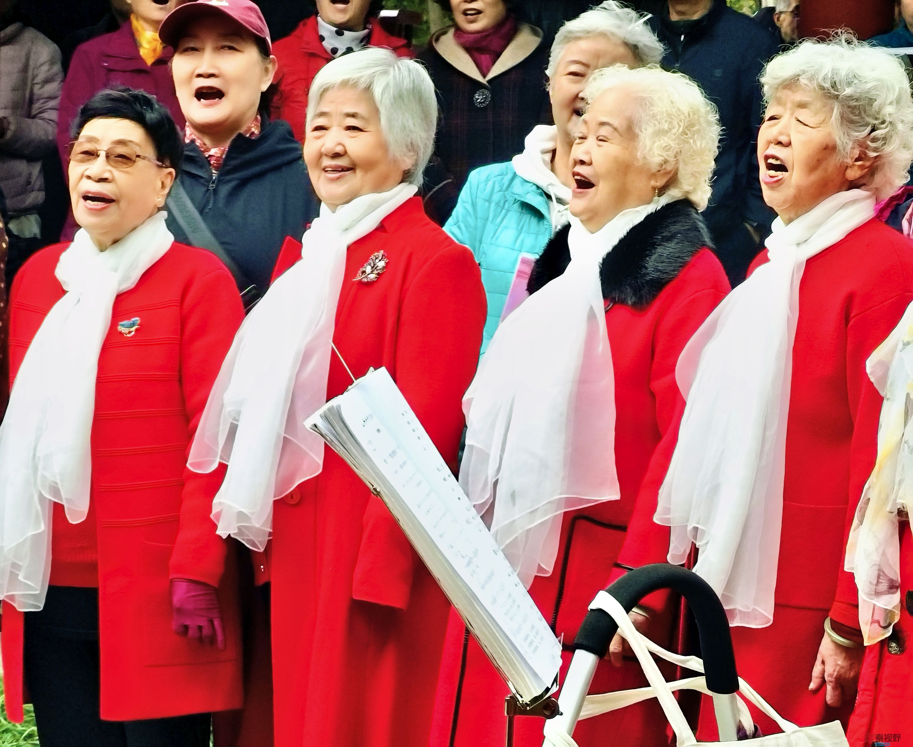 西安丰庆公园老年红歌合唱团，为游客演唱陕北民歌《山丹丹开花红艳艳》【摄影任周民】