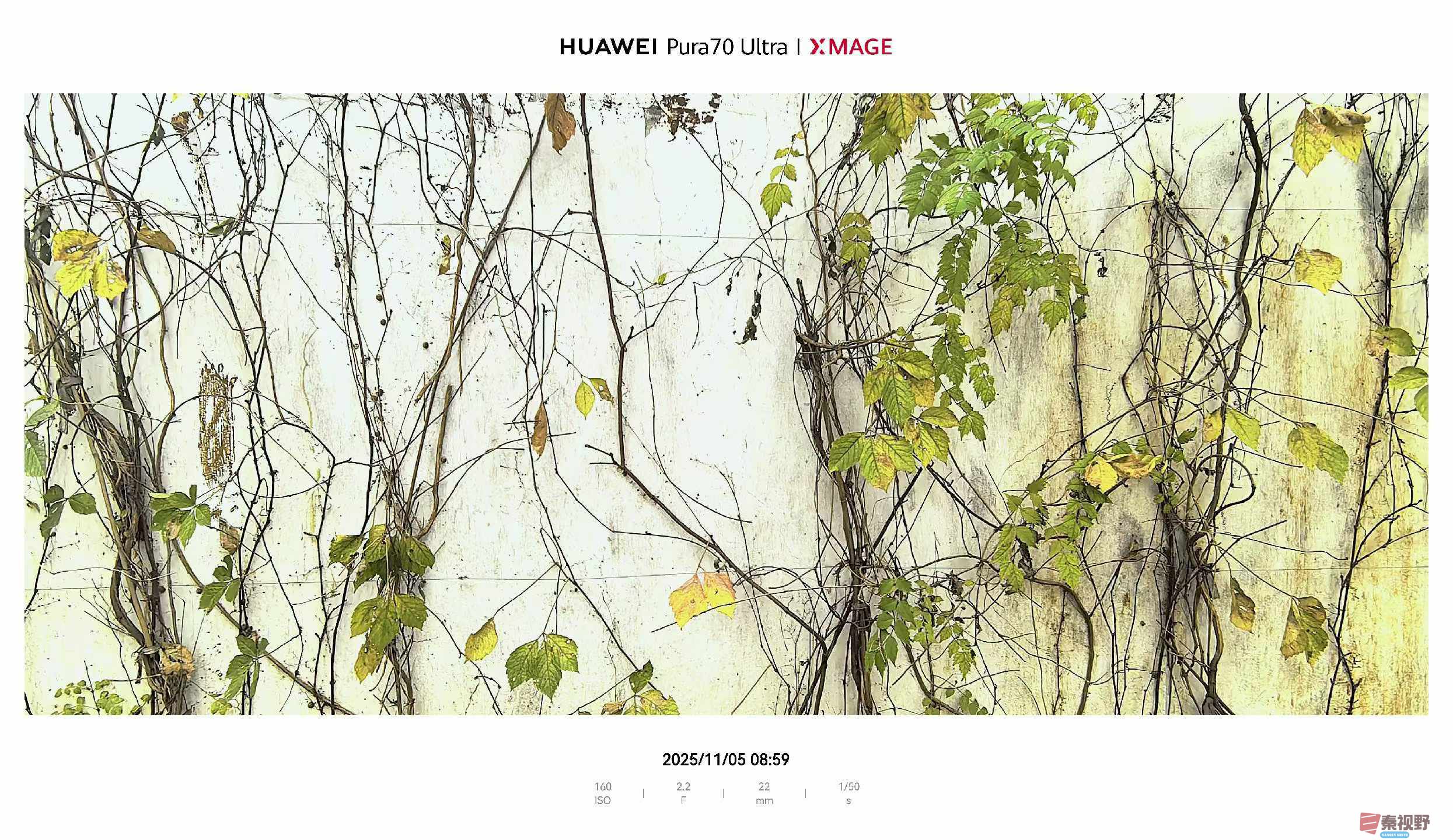 吕谦_2025-11-08_143007_271 (1).jpg