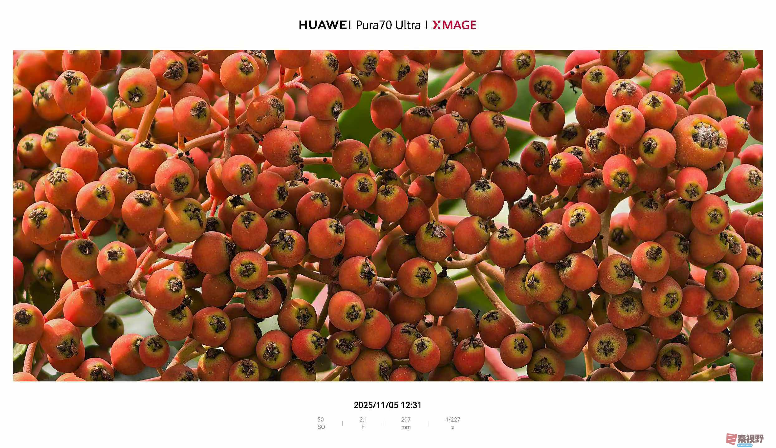 吕谦_2025-11-08_143007_271 (4).jpg