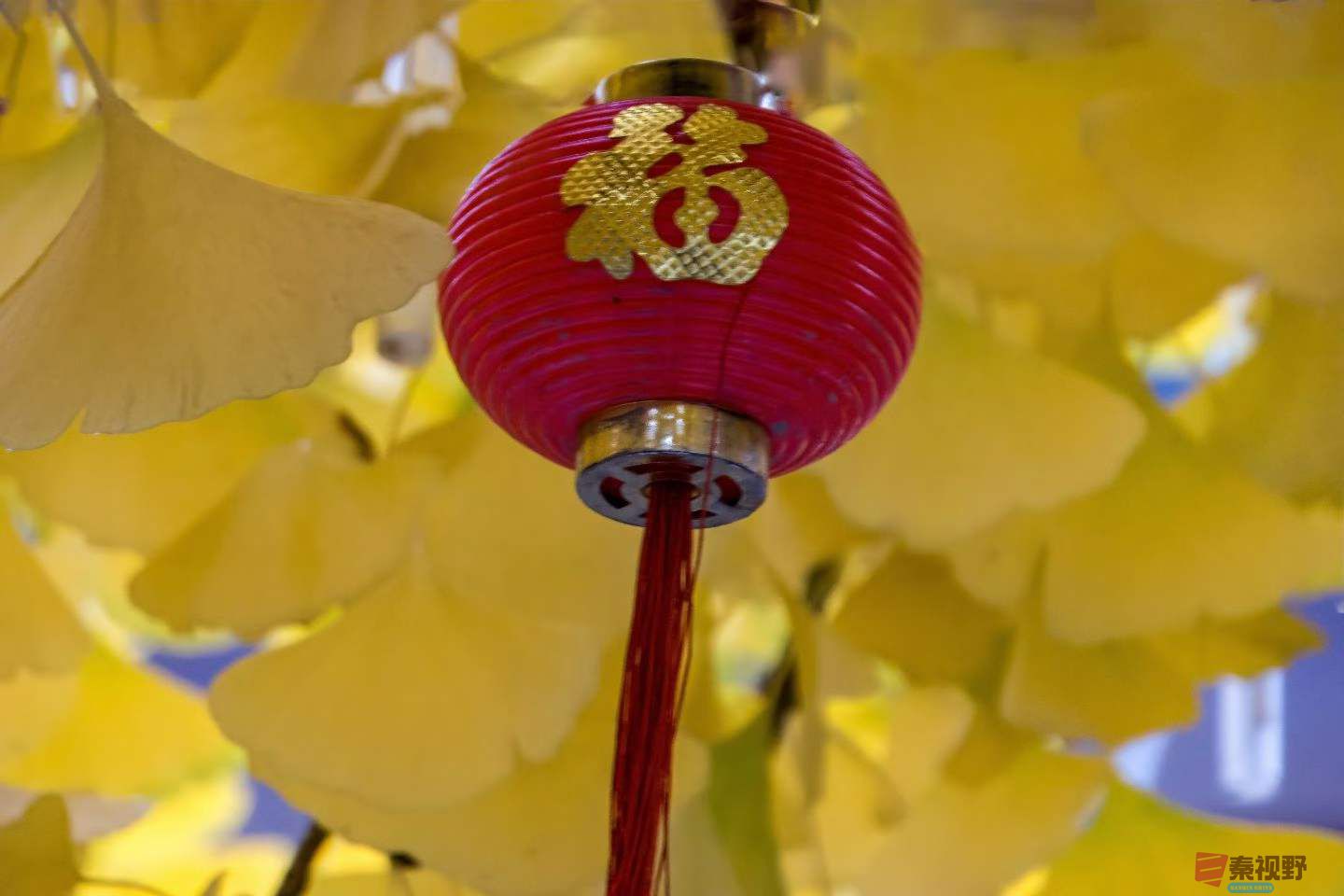 陈耀杰_2025-11-08_143321_232 (8).jpg