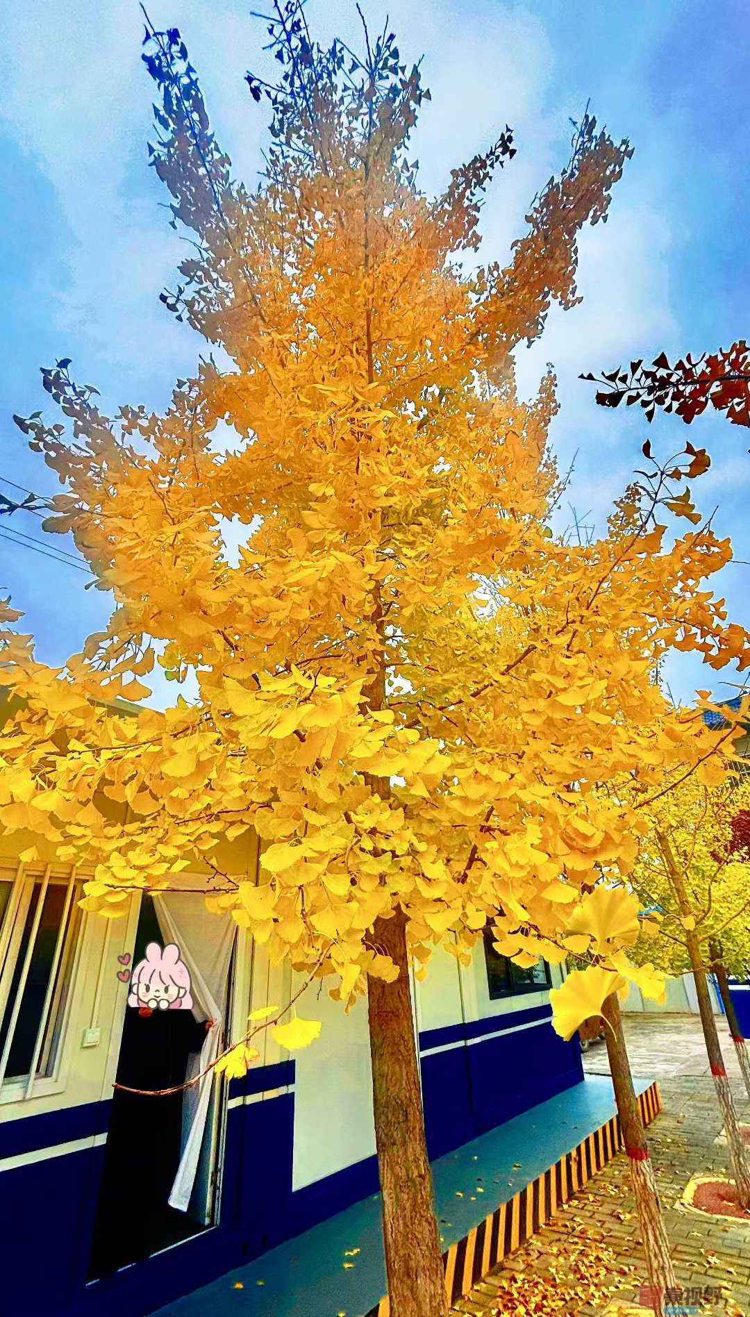 李阳_2025-11-08_143628_051 (5).jpg