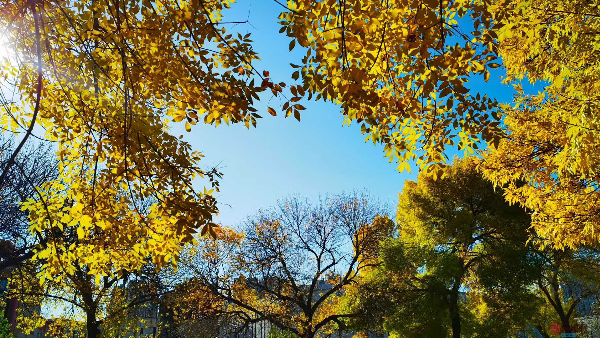 <strong>秋韵如画润心田【摄影马世国】</strong>