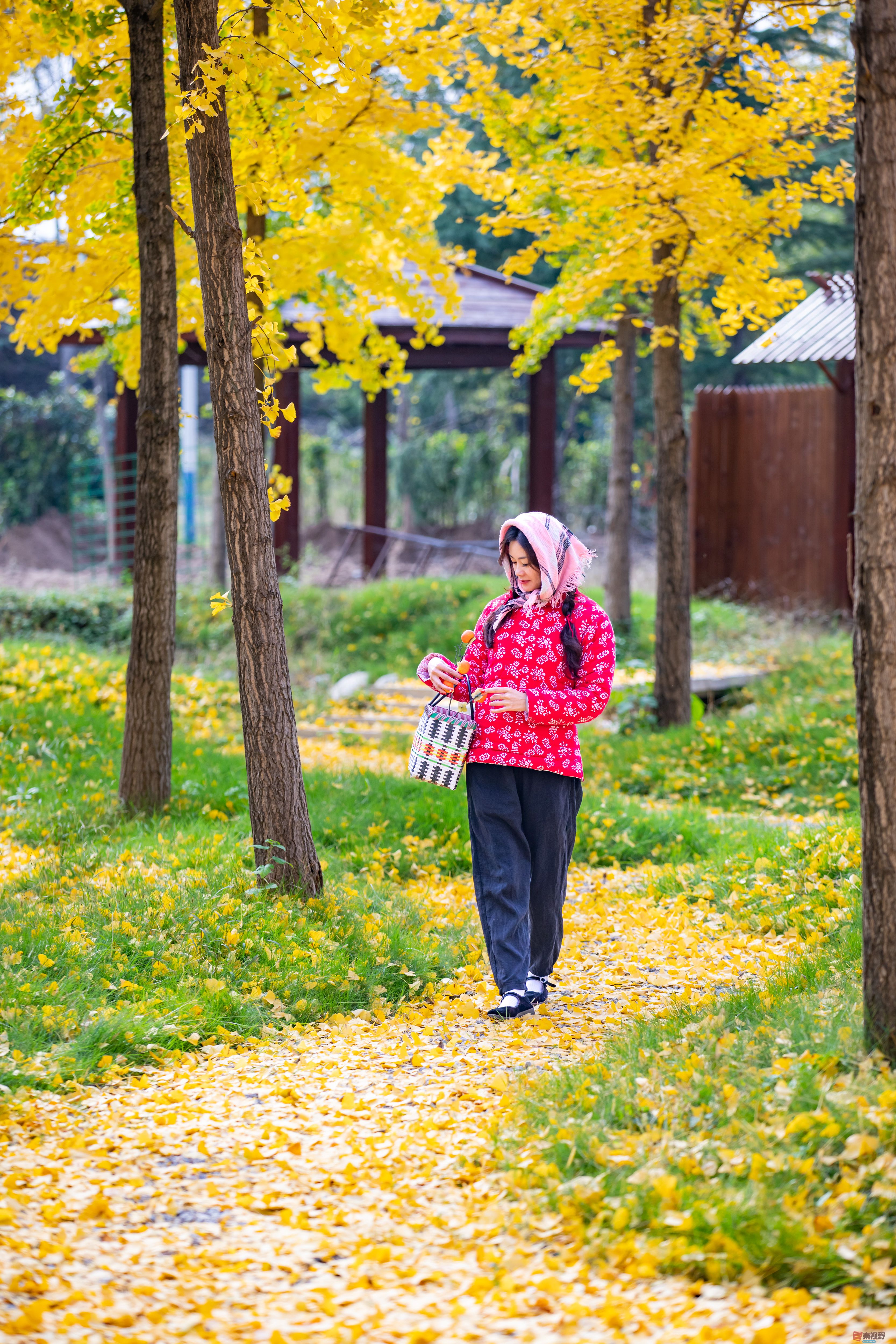 张宝光_20251108190307_2980_463 (8).jpg