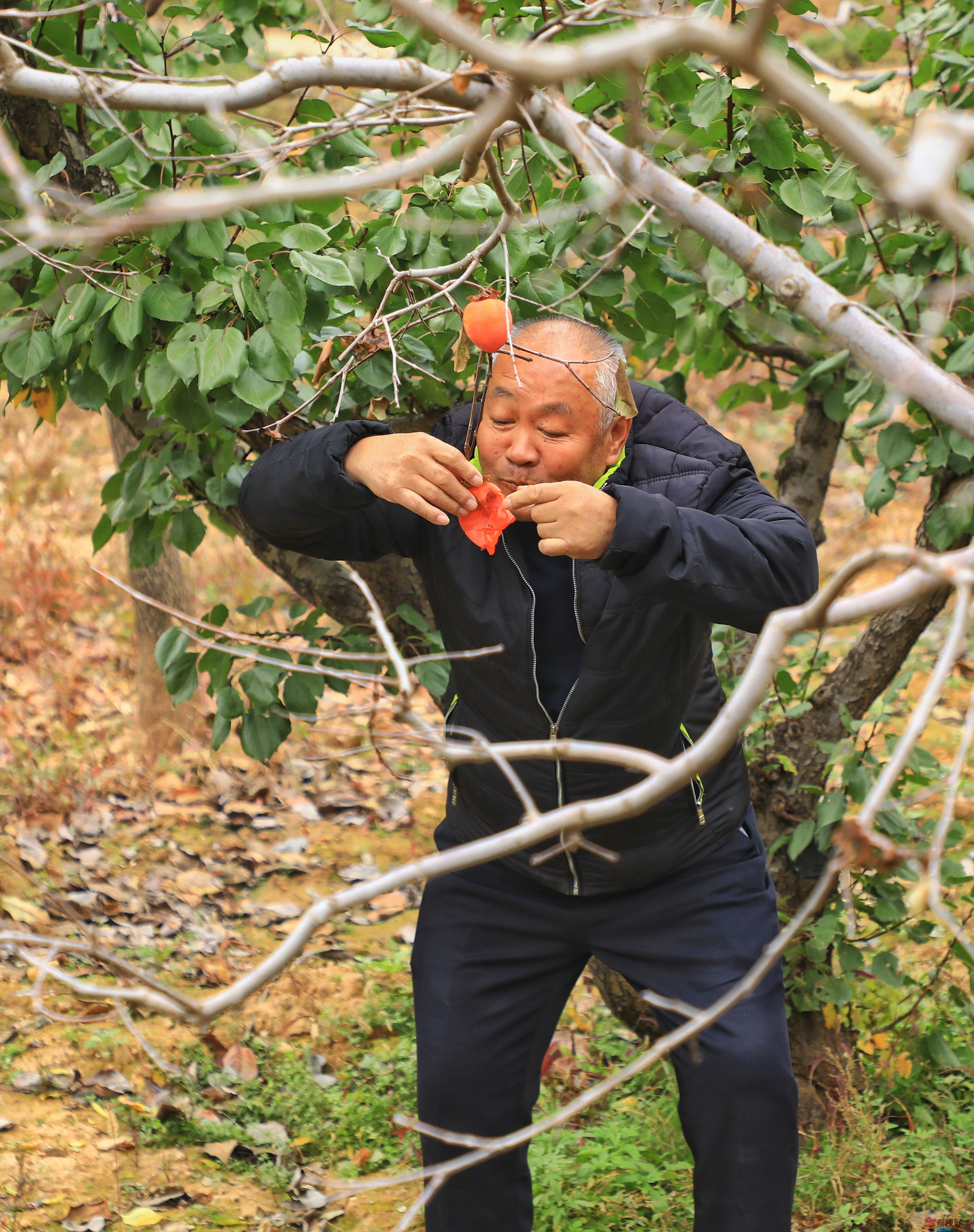 牛鸿儒_20251107160128_1381_370 (3).jpg