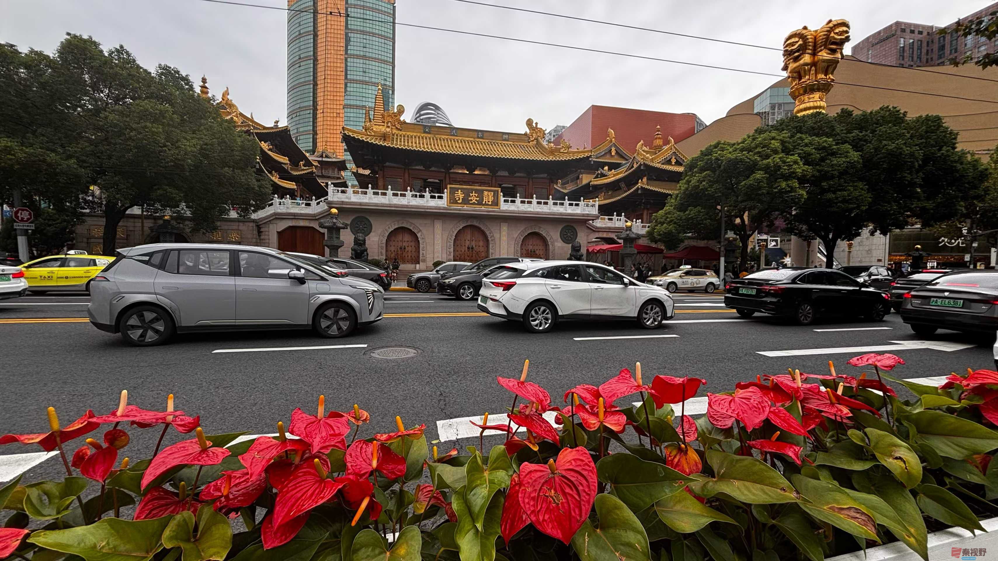 张巧玲_2025-11-08_084818_073 (8).jpg