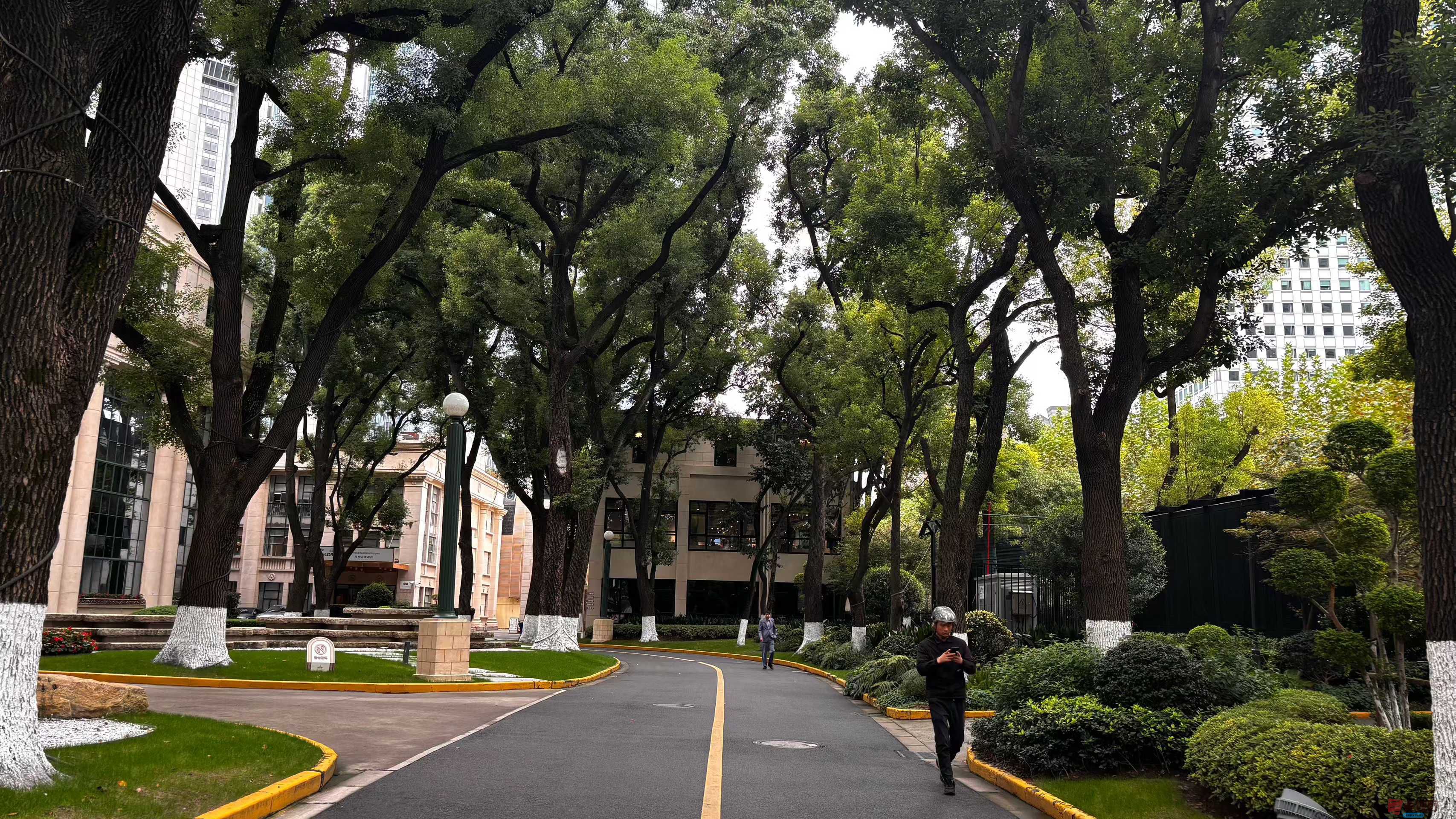 张巧玲_2025-11-08_084818_073 (9).jpg