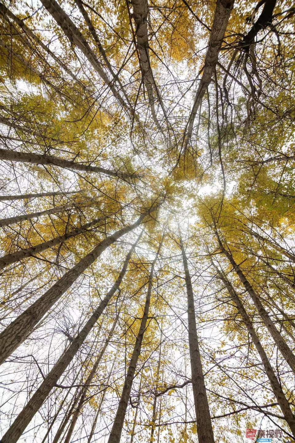 陈耀杰_2025-11-08_181600_964 (1).jpg