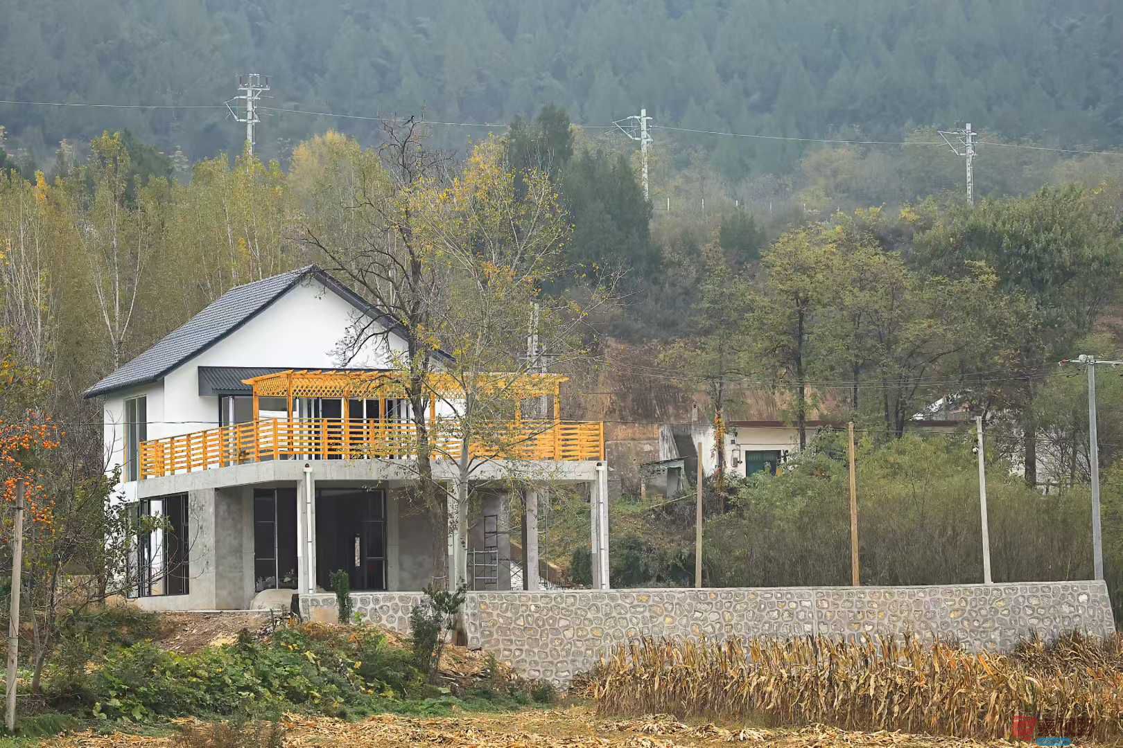 陈耀杰_2025-11-08_183226_957 (1).jpg