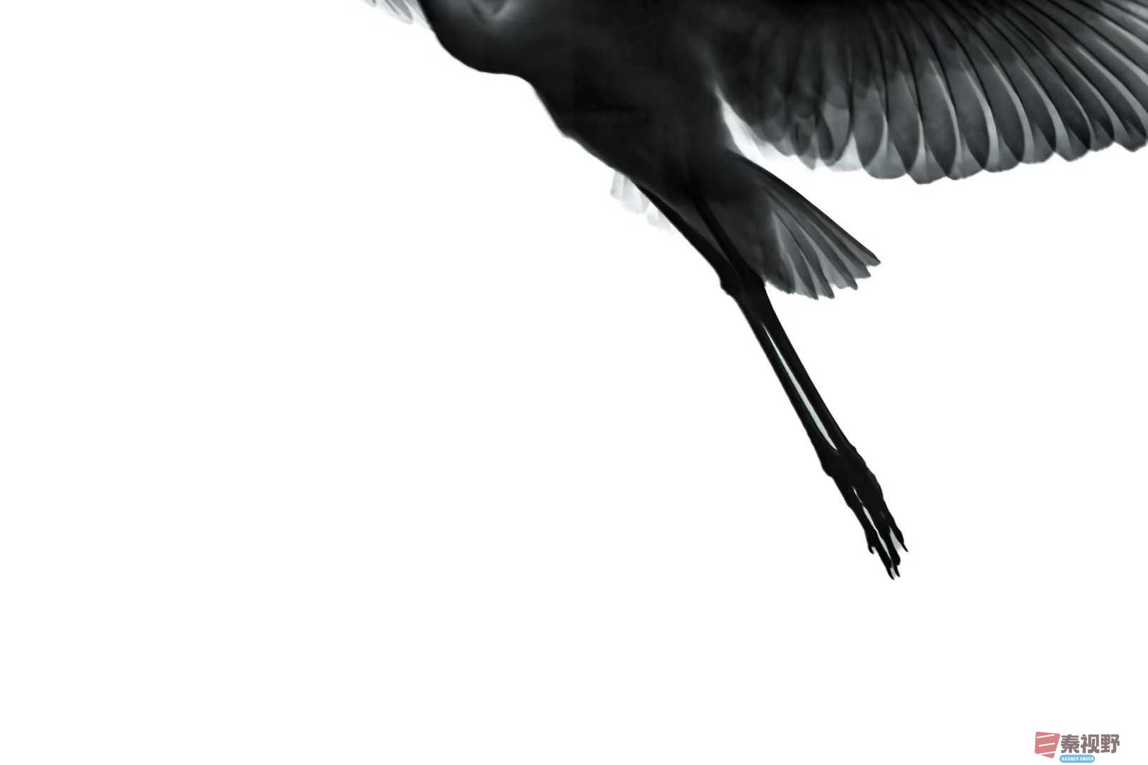 陈耀杰_2025-11-08_183226_957 (3).jpg