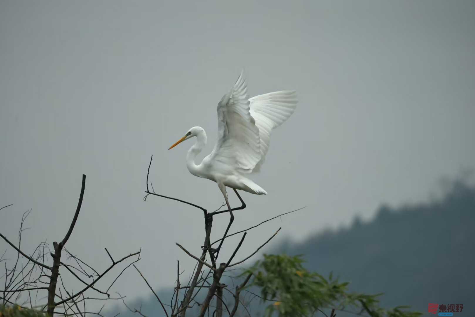 陈耀杰摄影作品欣赏