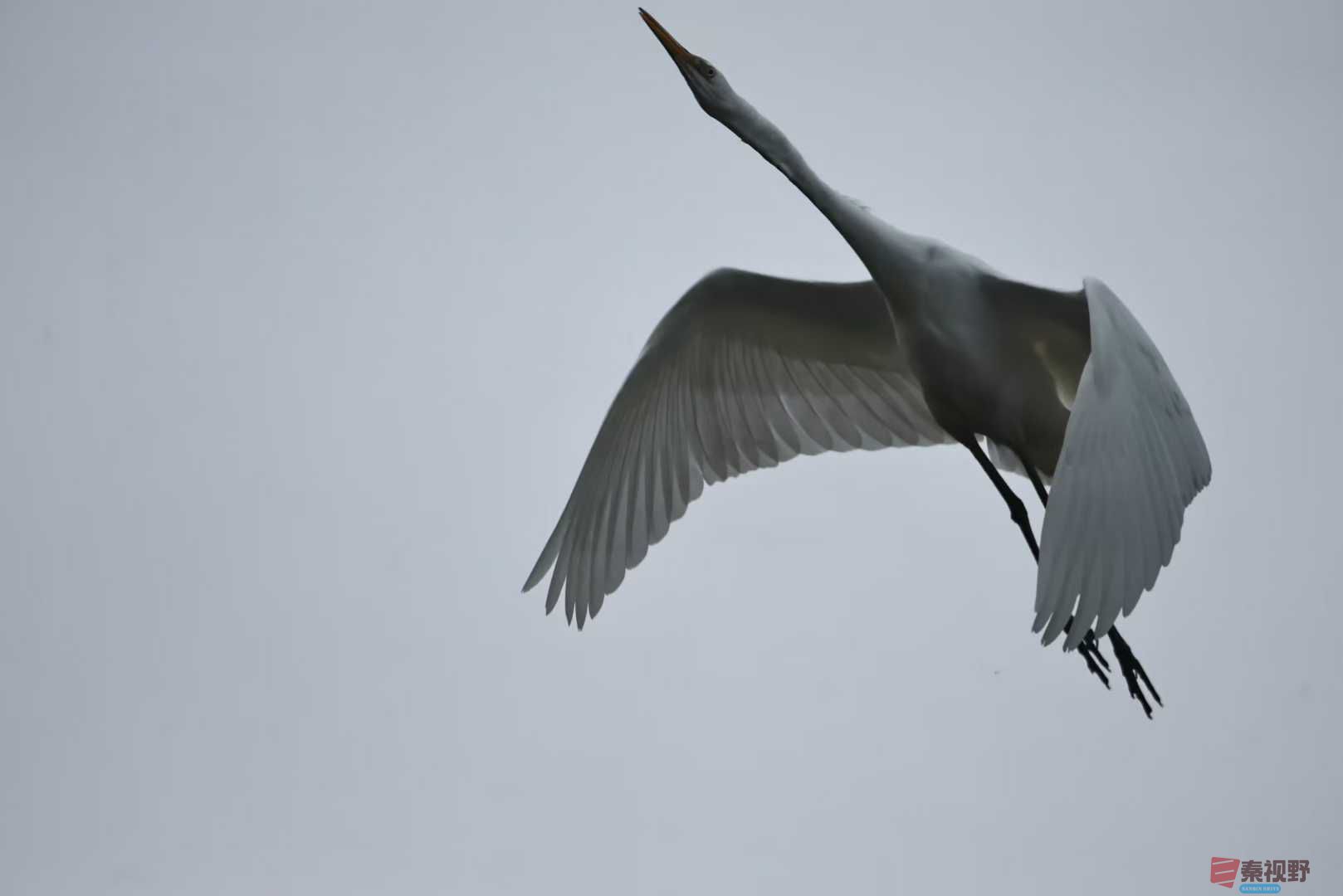 陈耀杰_2025-11-08_184232_988 (2).jpg