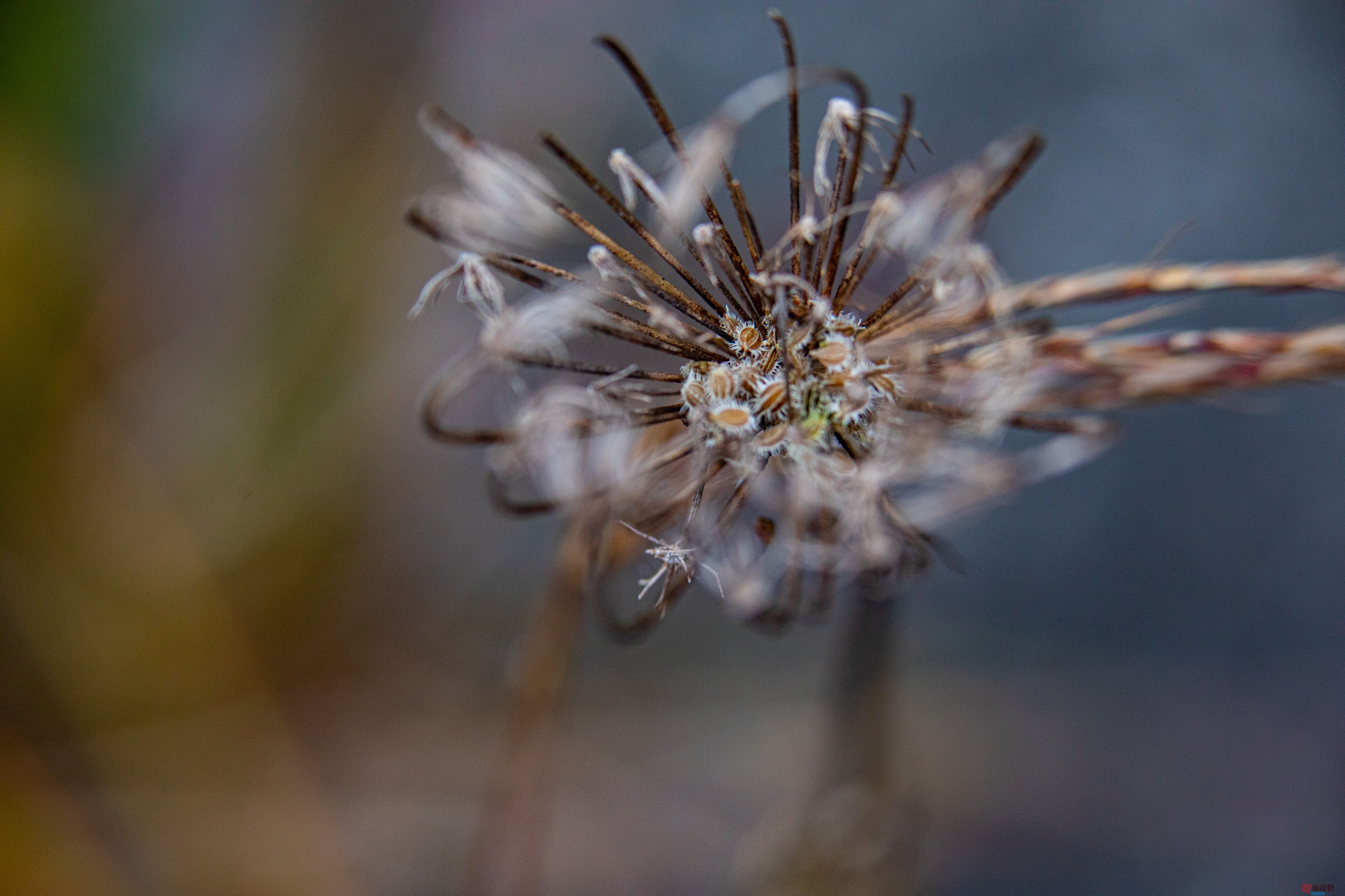 张宝光_20251107222948_2968_463 (4).jpg