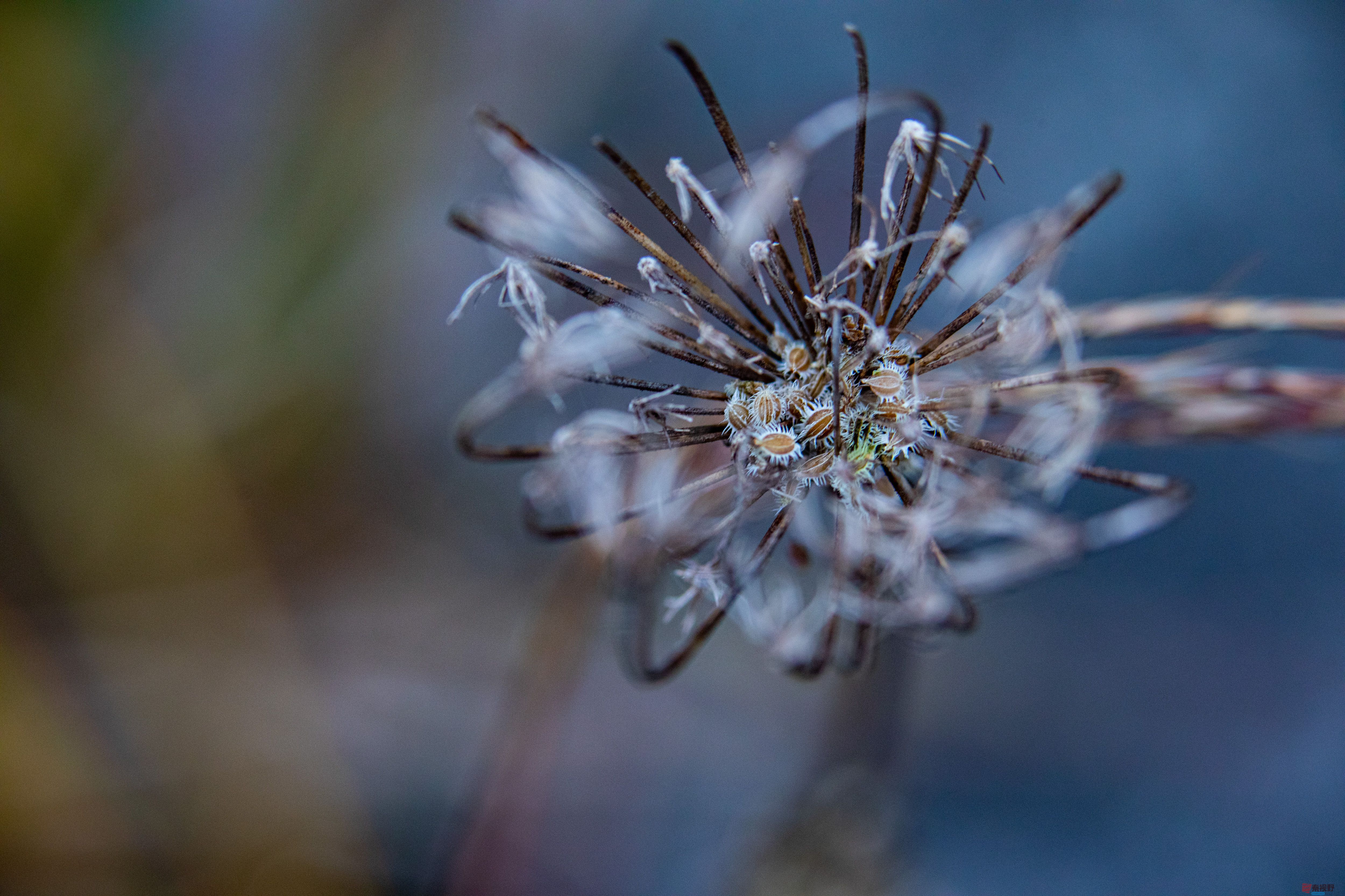 张宝光_20251107222948_2968_463 (5).jpg