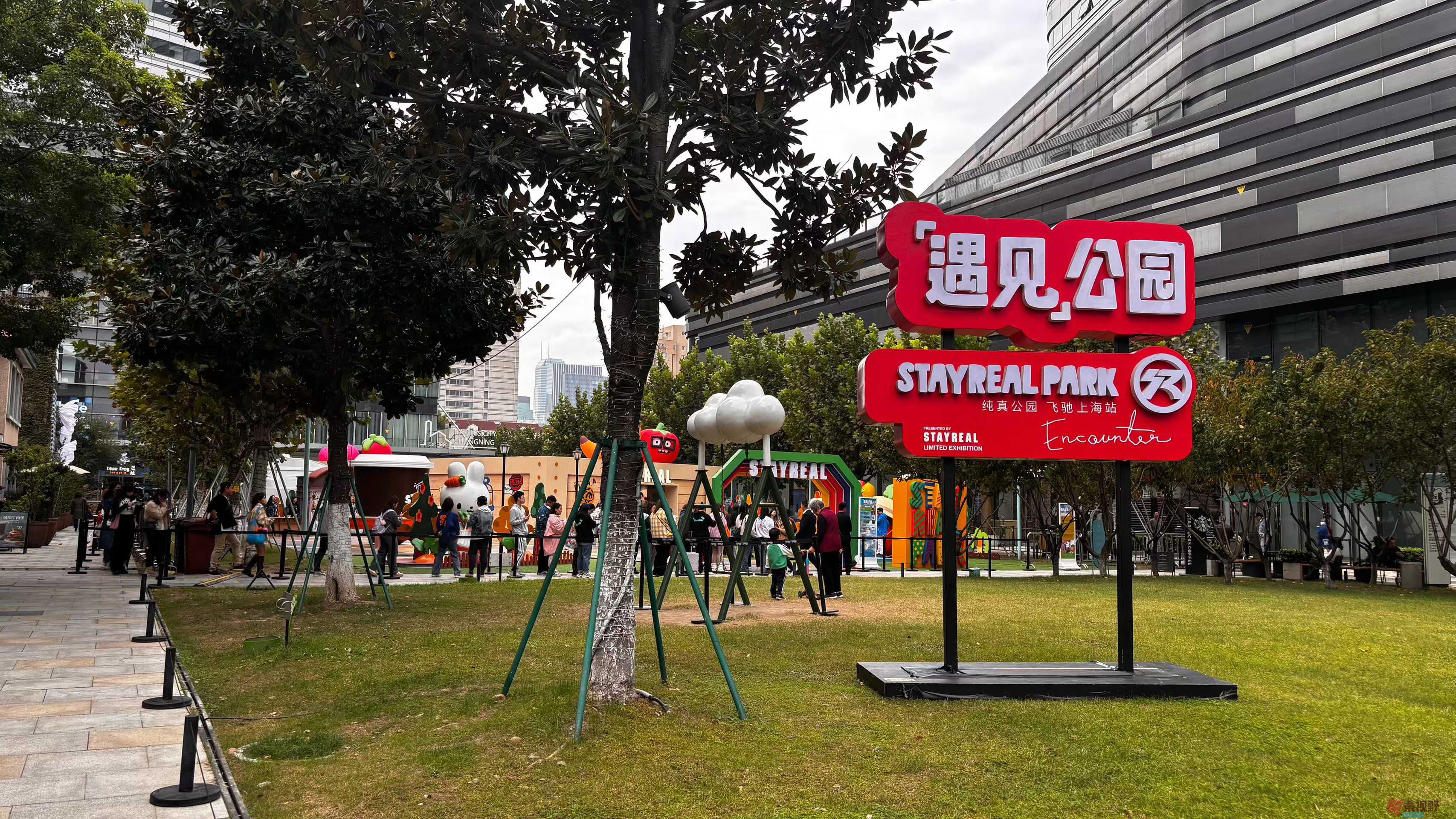 张巧玲_2025-11-08_181219_926 (5).jpg