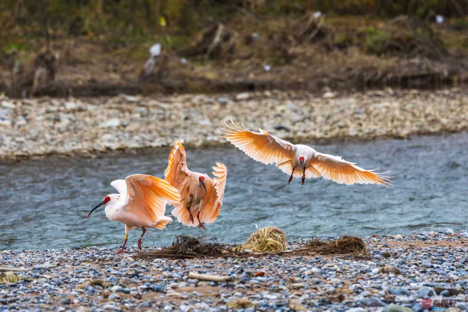 袁小保_2025-11-08_184221_515 (1).jpg