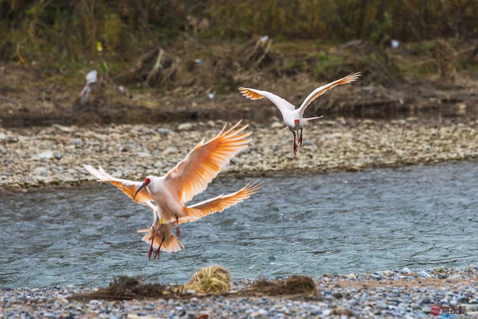 袁小保_2025-11-08_184221_515 (7).jpg