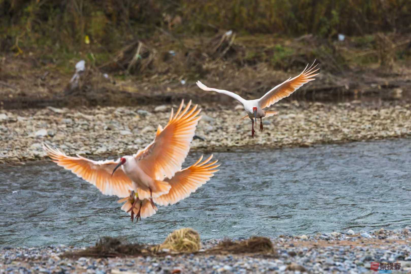 袁小保_2025-11-08_184221_515 (8).jpg