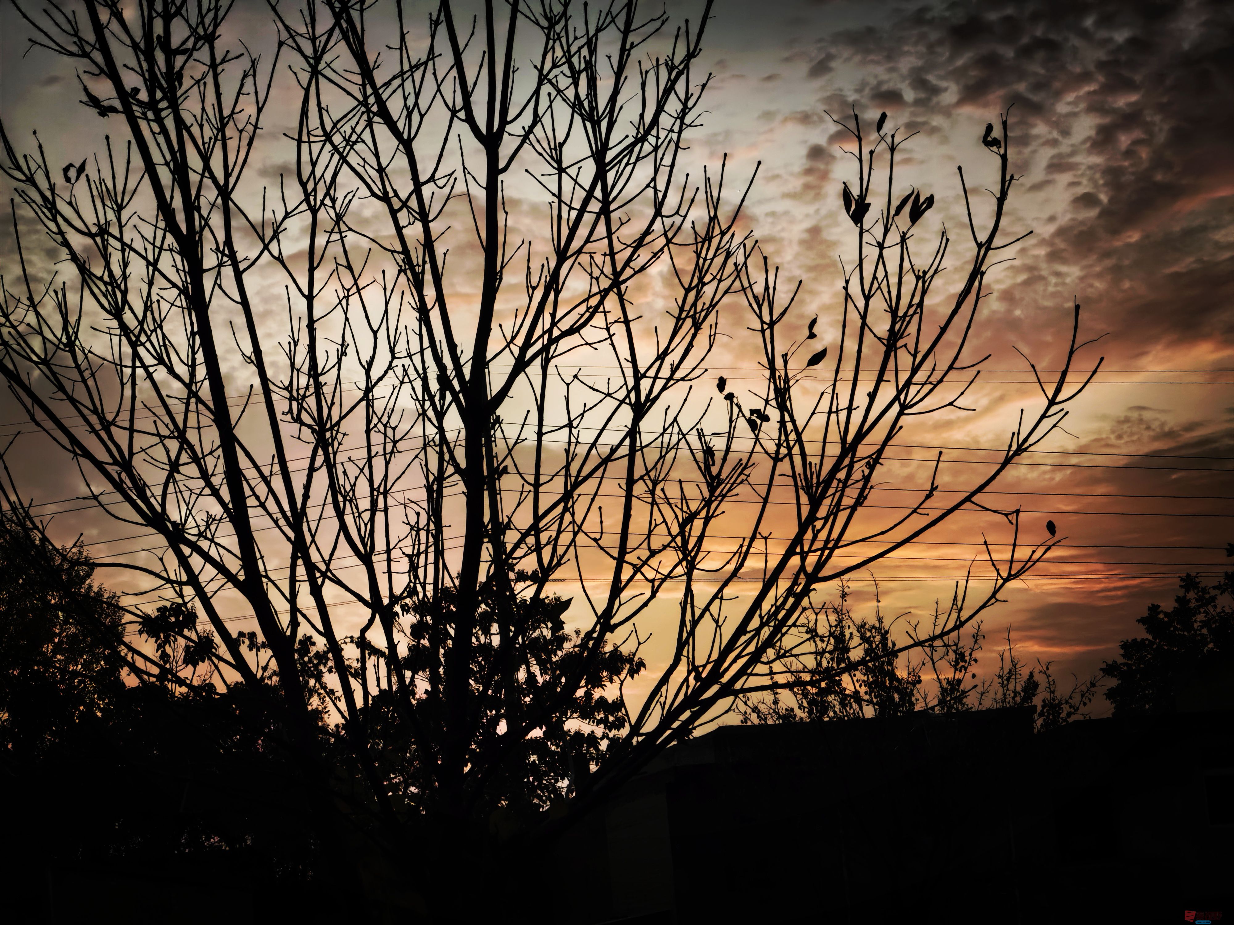 刘孝文_20251110082001_3041_463 (9).jpg