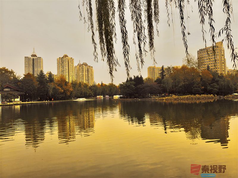 <strong>西安丰庆公园美景【摄影任周民】</strong>