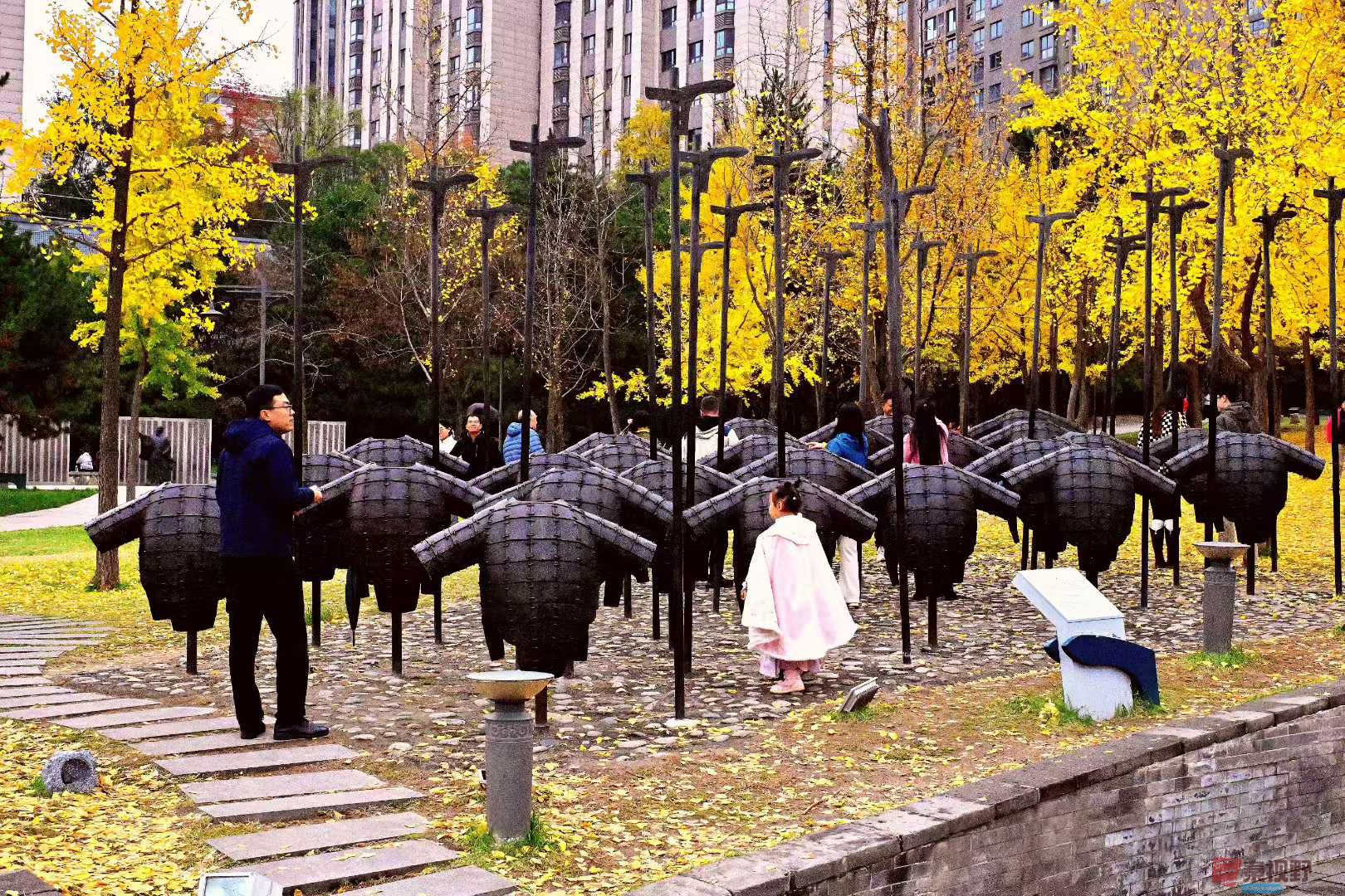 张高翔_2025-11-09_230830_821 (4).jpg