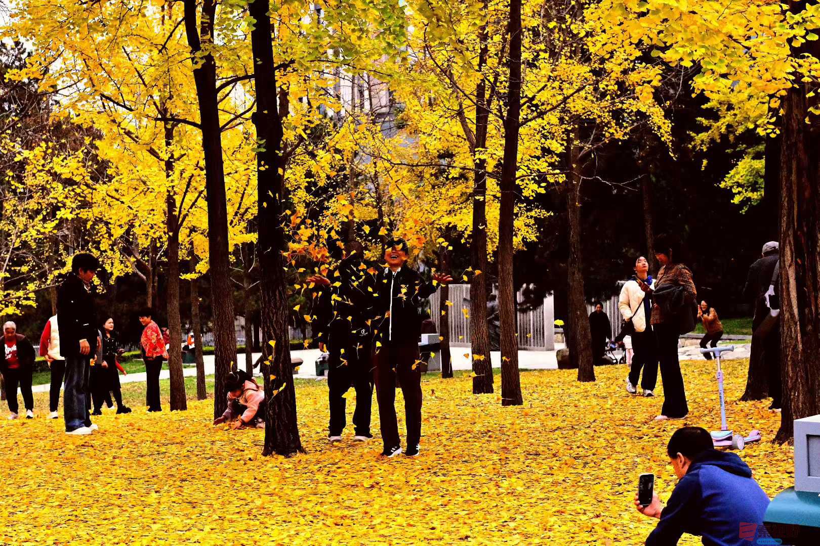 张高翔_2025-11-09_230830_821 (5).jpg