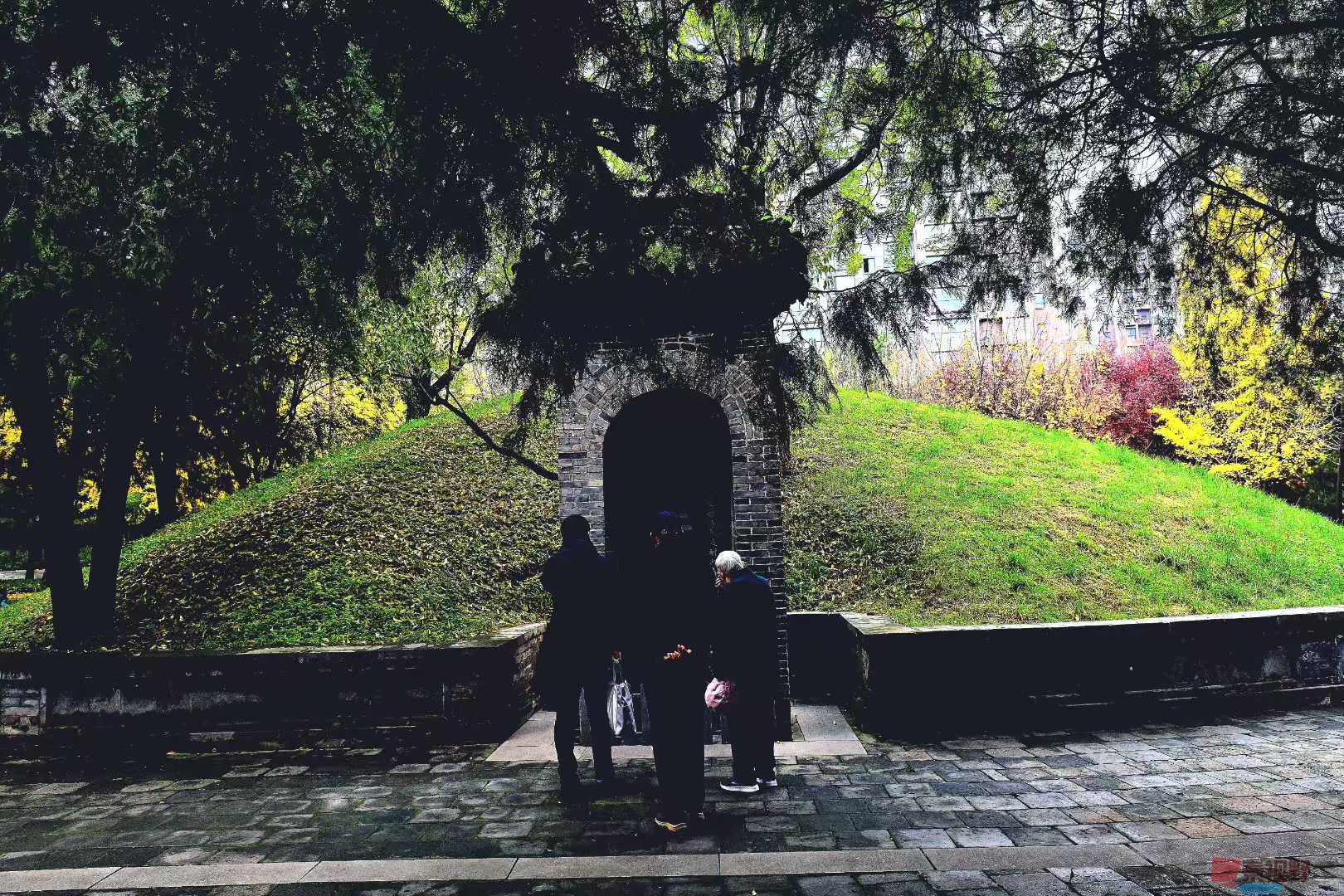 张高翔_2025-11-09_230830_821 (9).jpg