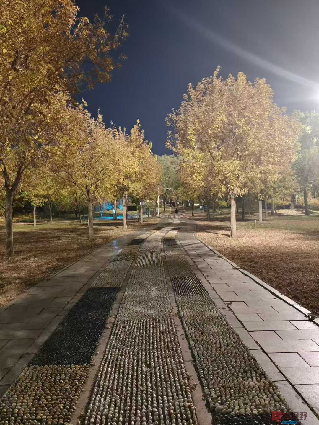 欧阳晓晓_2025-11-09_232637_566 (3).jpg