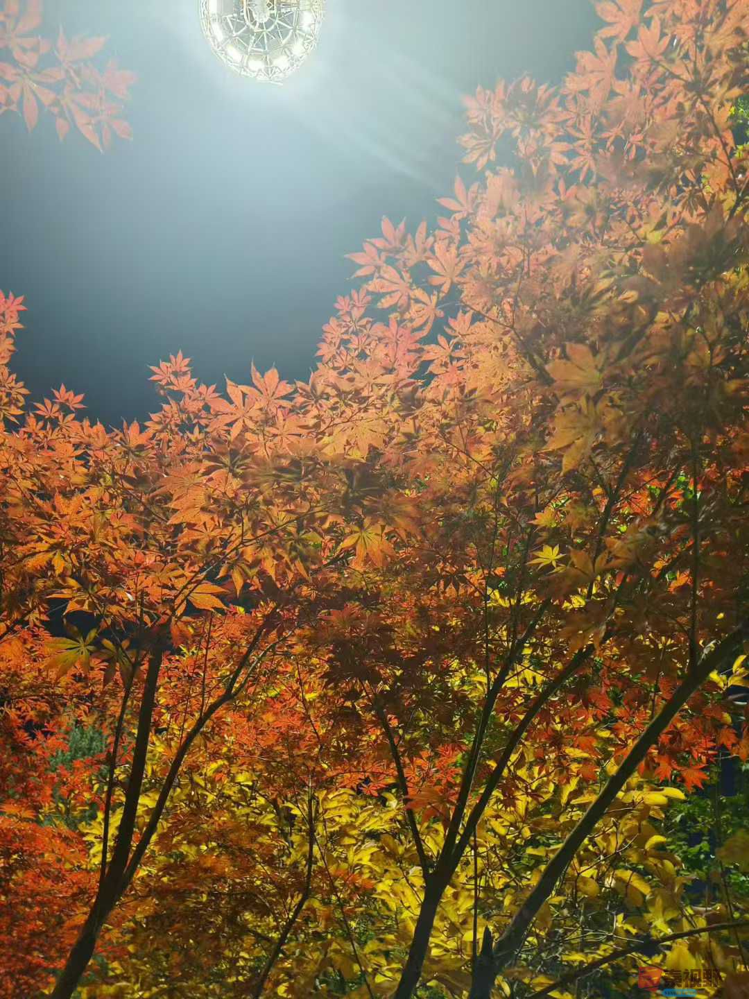 欧阳晓晓_2025-11-09_232637_566 (5).jpg