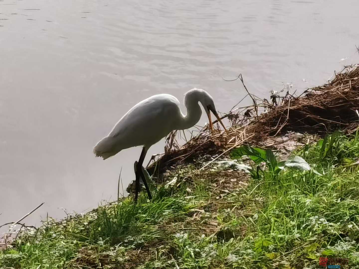 刘辉_2025-11-08_183328_466 (4).jpg