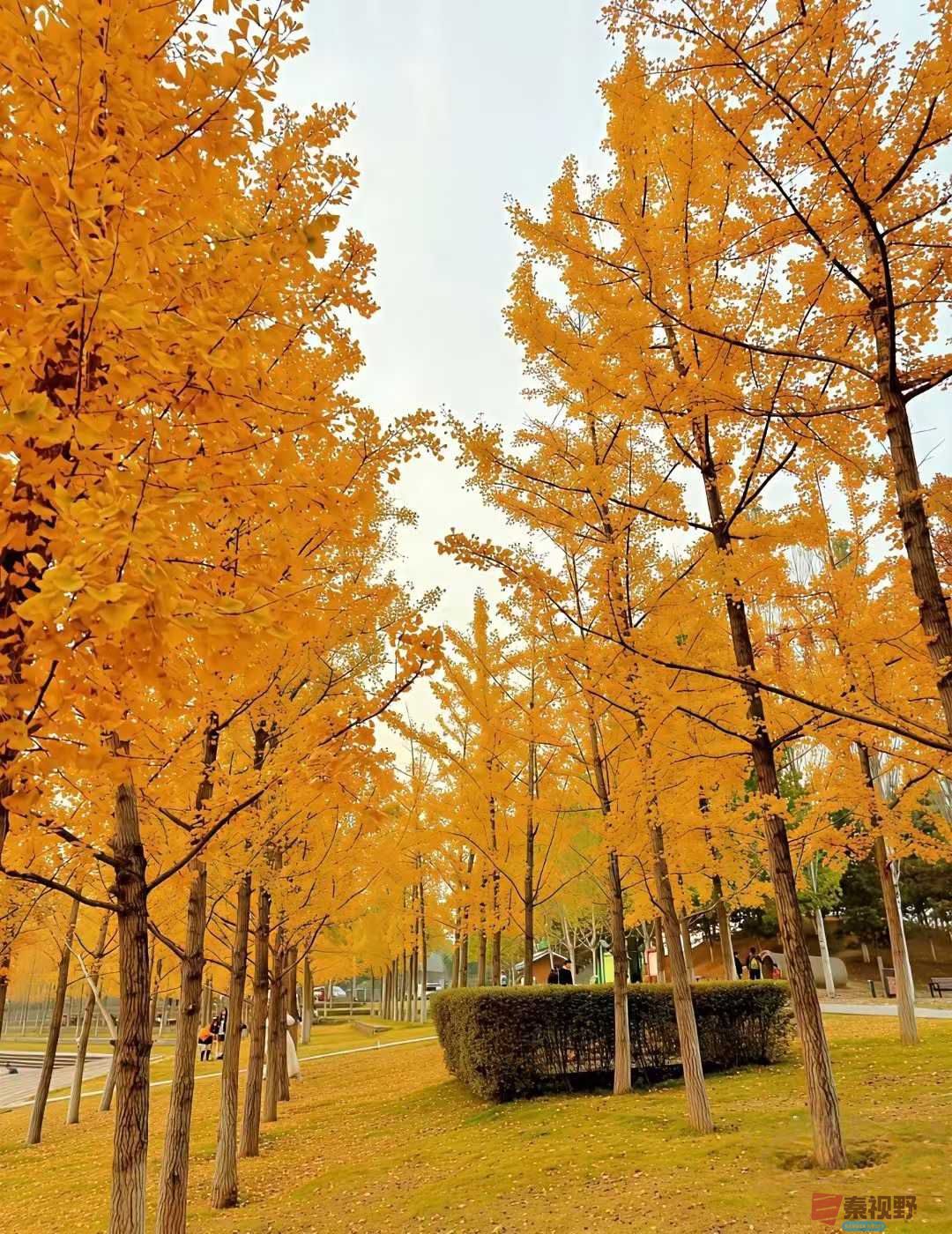 法制大队_2025-11-09_232430_069 (2).jpg