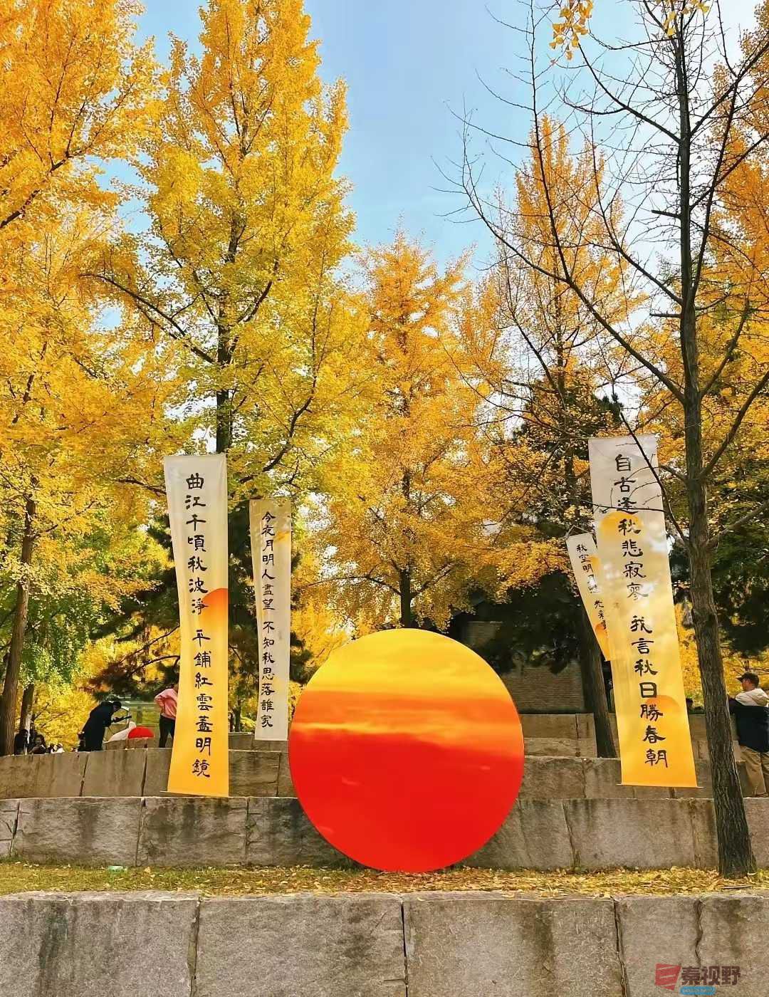 法制大队_2025-11-09_232430_069 (4).jpg